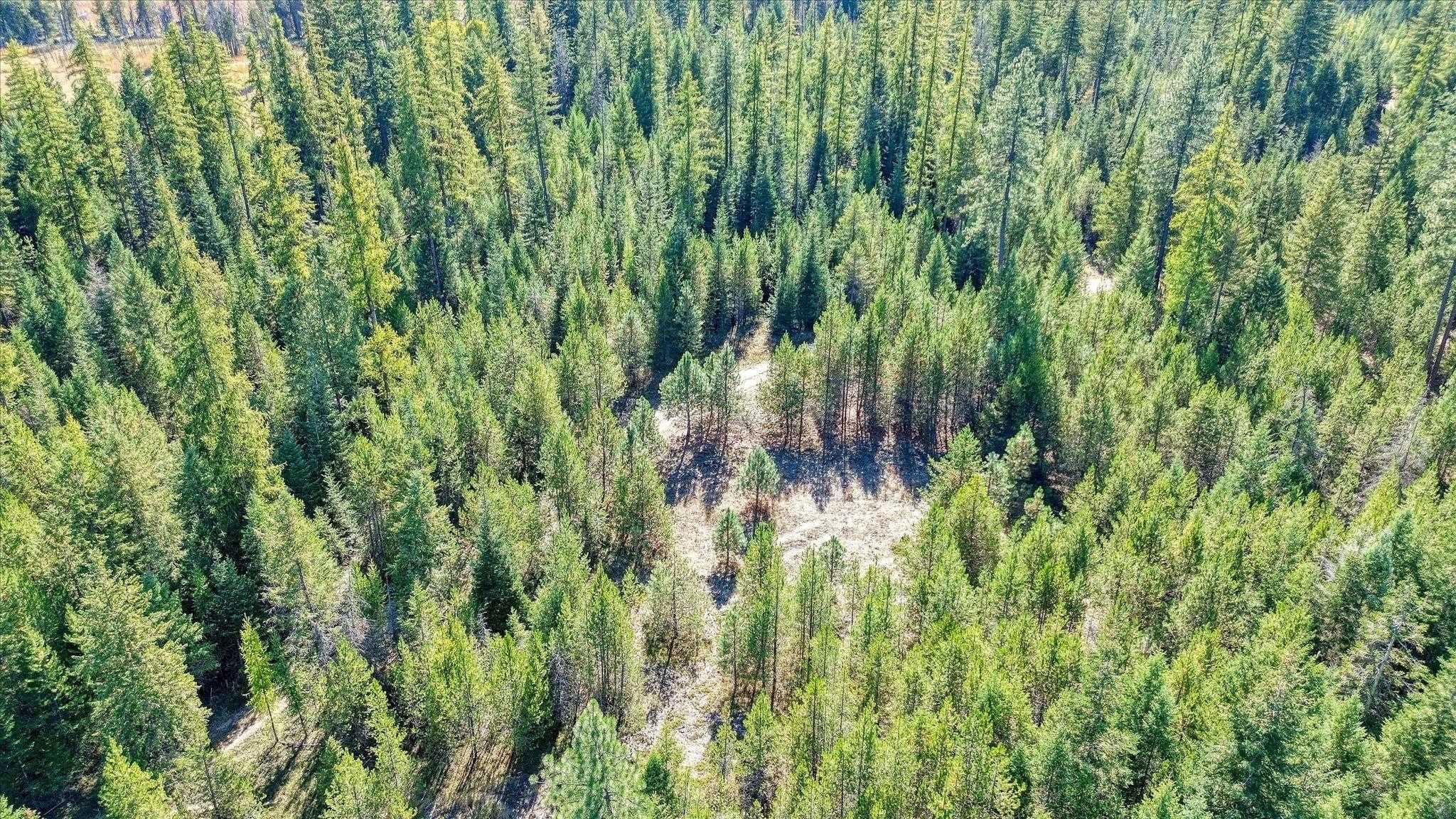 NKN Northshore Diamond Lake Rd - Photo 41