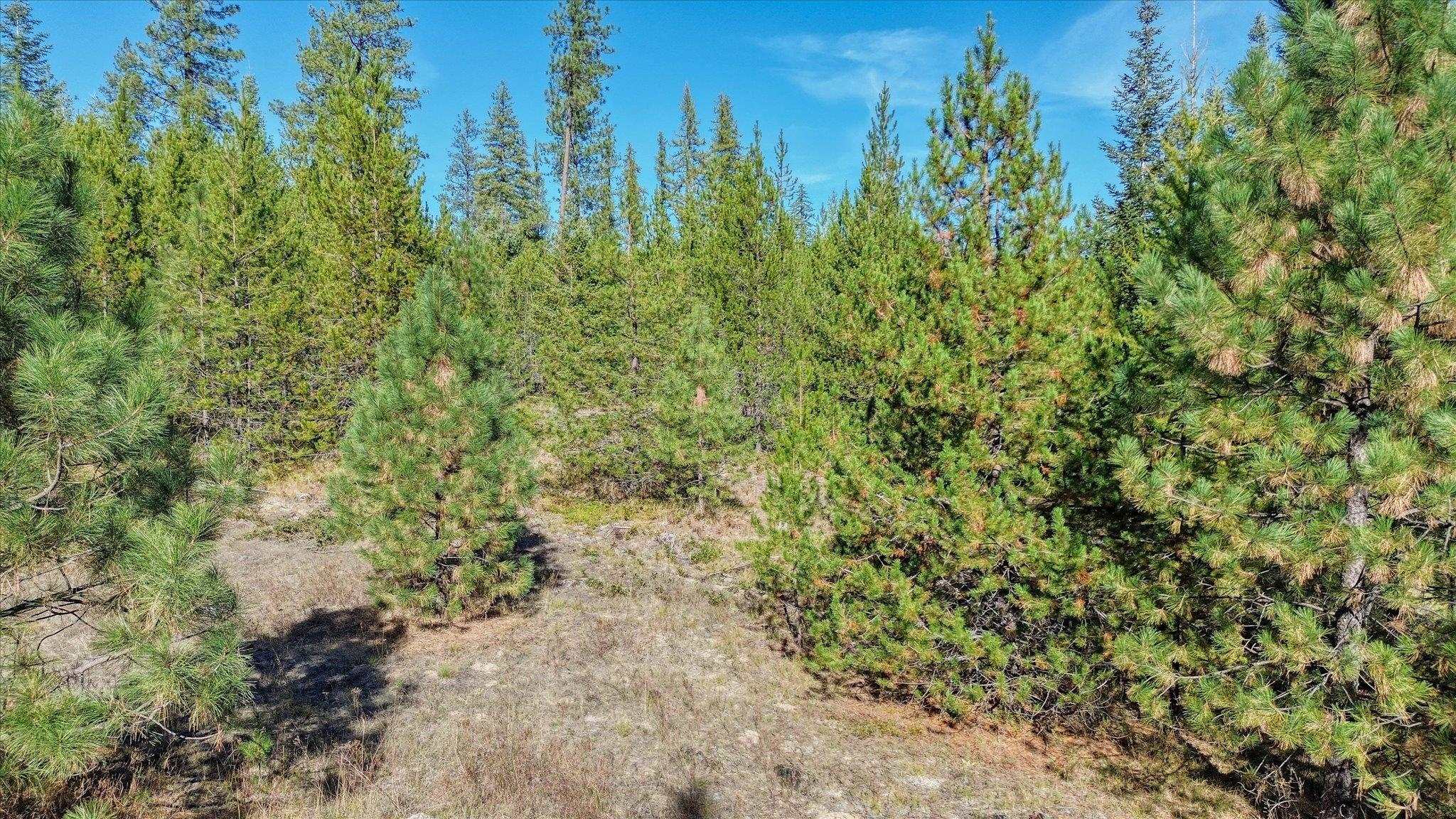 NKN Northshore Diamond Lake Rd - Photo 43