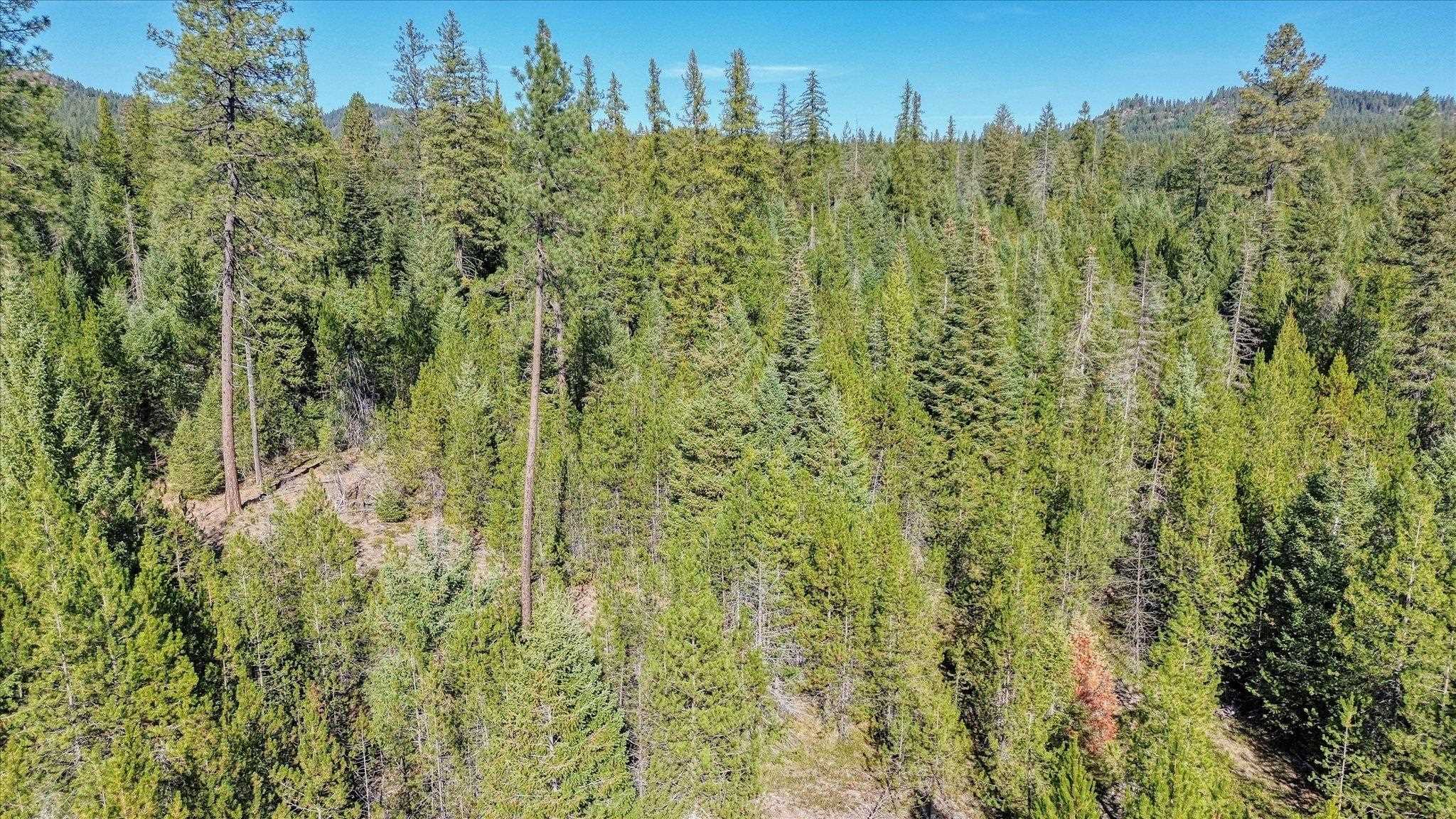 NKN Northshore Diamond Lake Rd - Photo 44