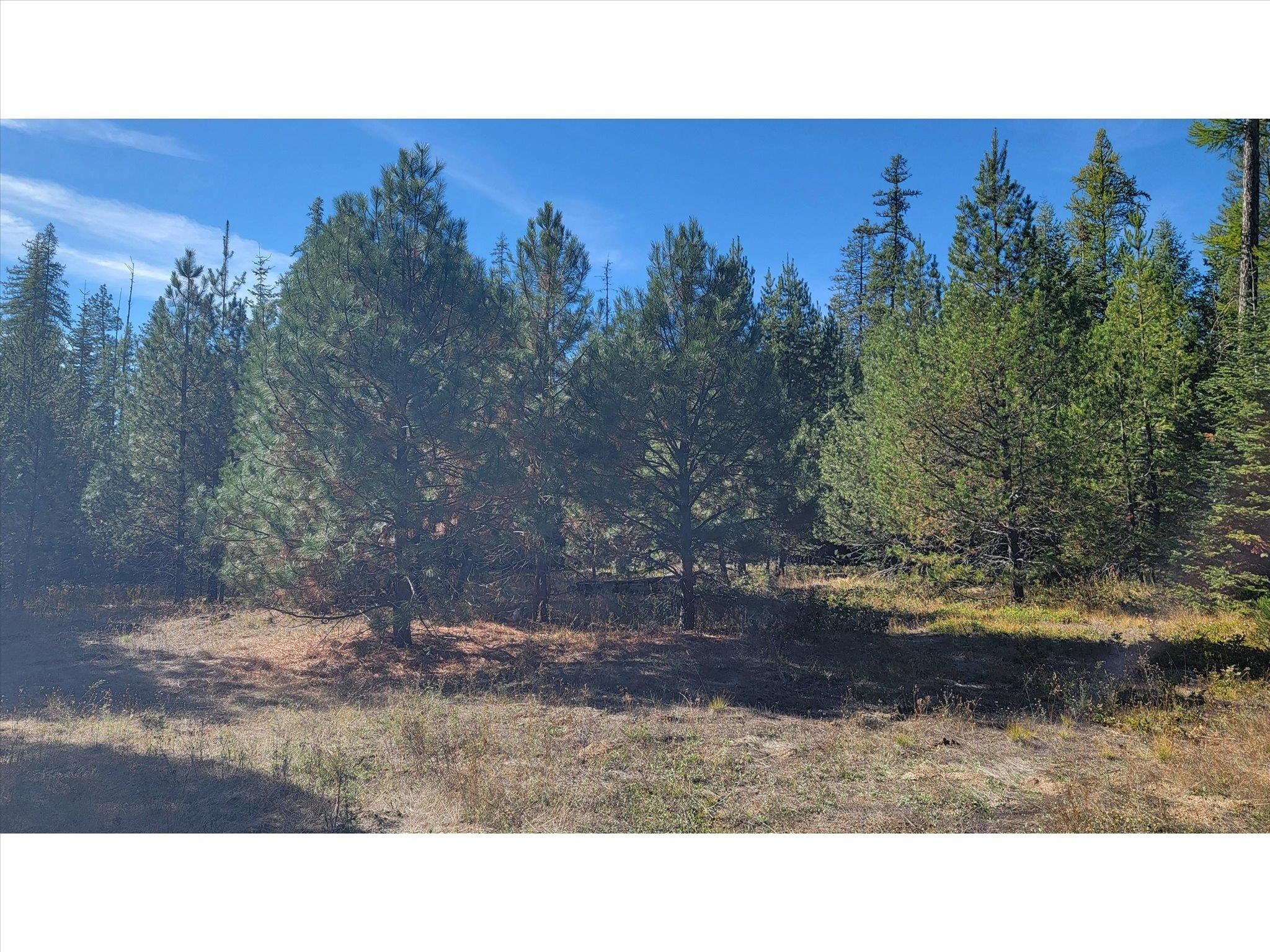 NKN Northshore Diamond Lake Rd - Photo 49