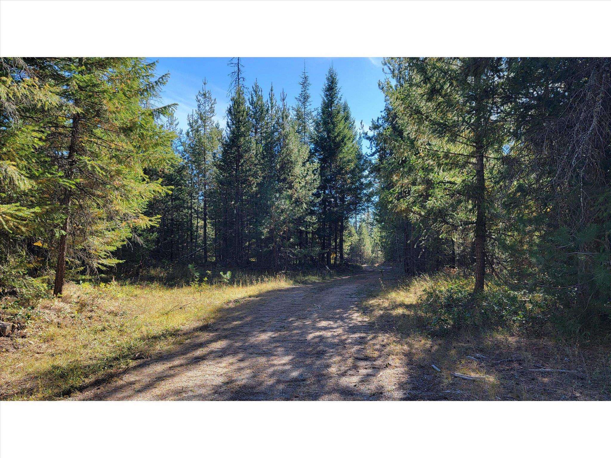 NKN Northshore Diamond Lake Rd - Photo 7
