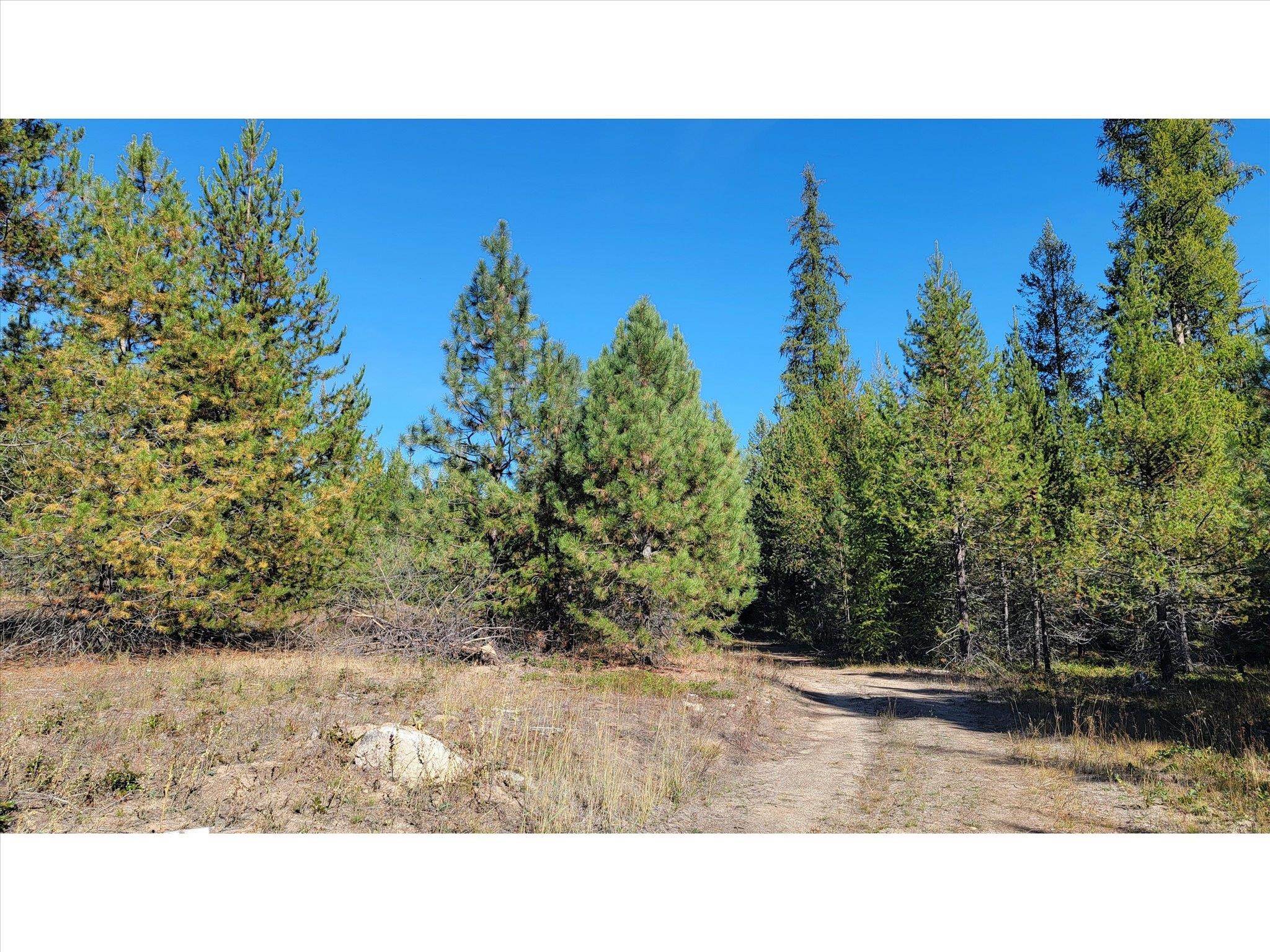 NKN Northshore Diamond Lake Rd - Photo 8