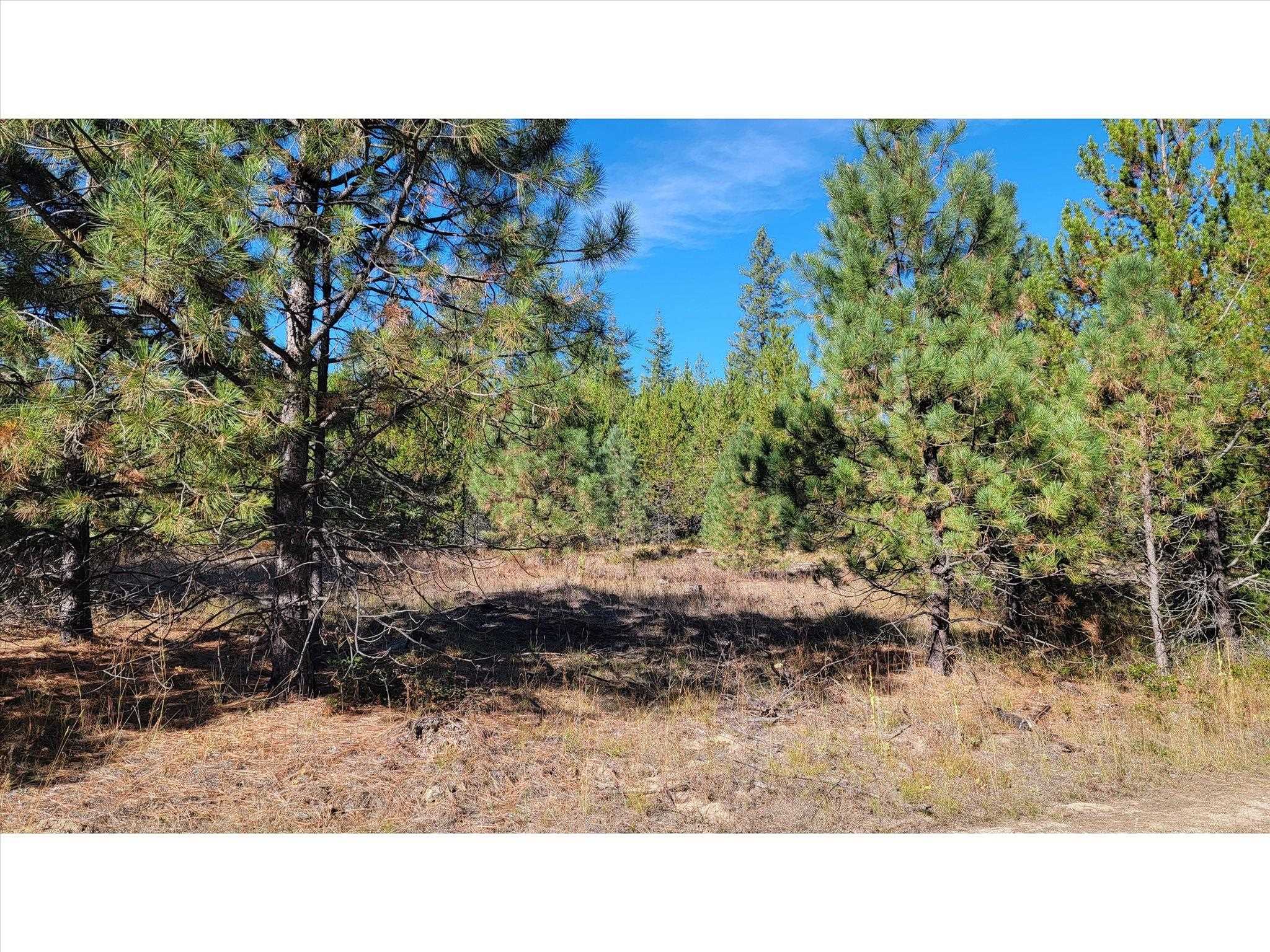 NKN Northshore Diamond Lake Rd - Photo 9
