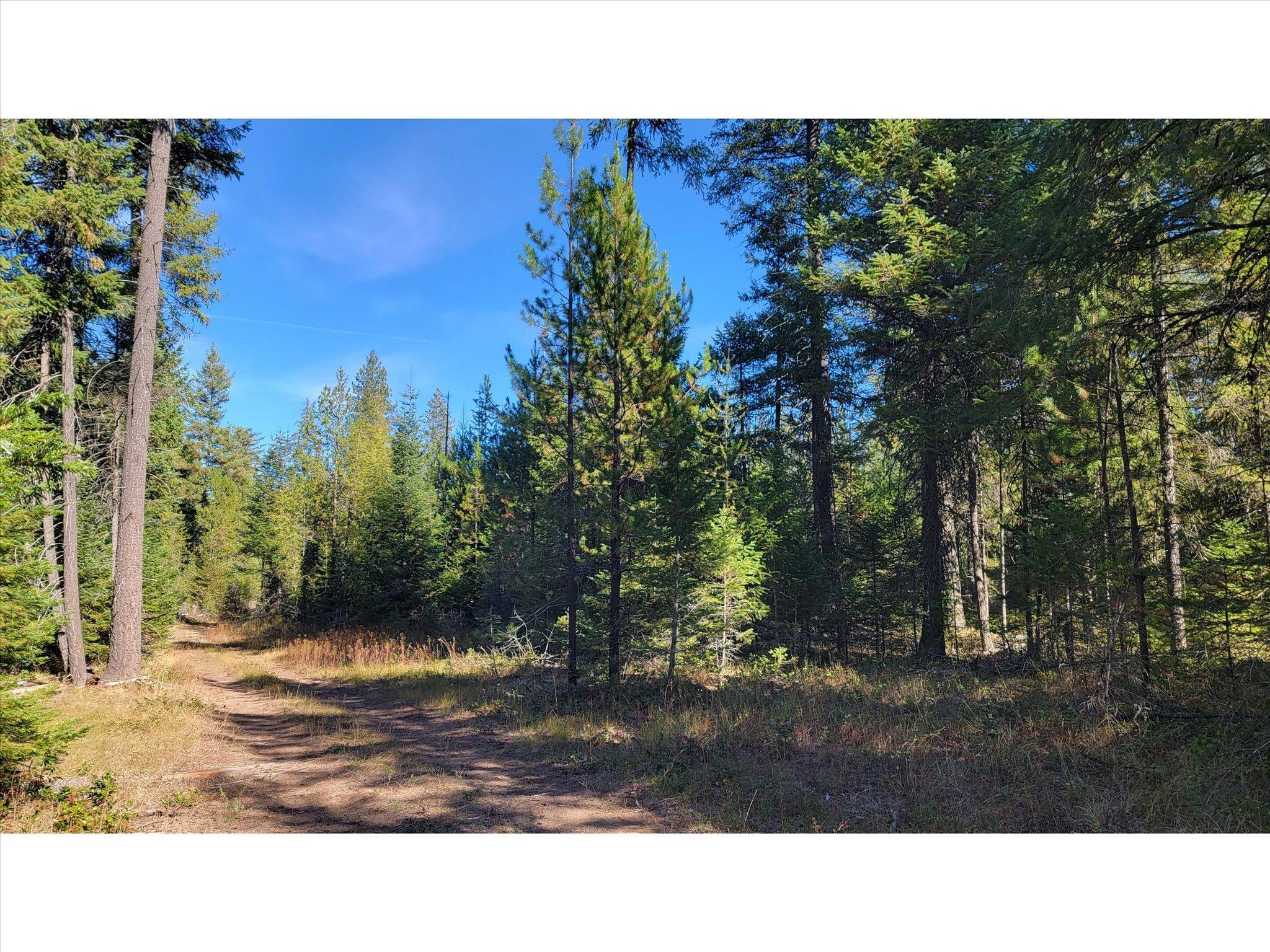 NKN Northshore Diamond Lake Rd - Photo 10