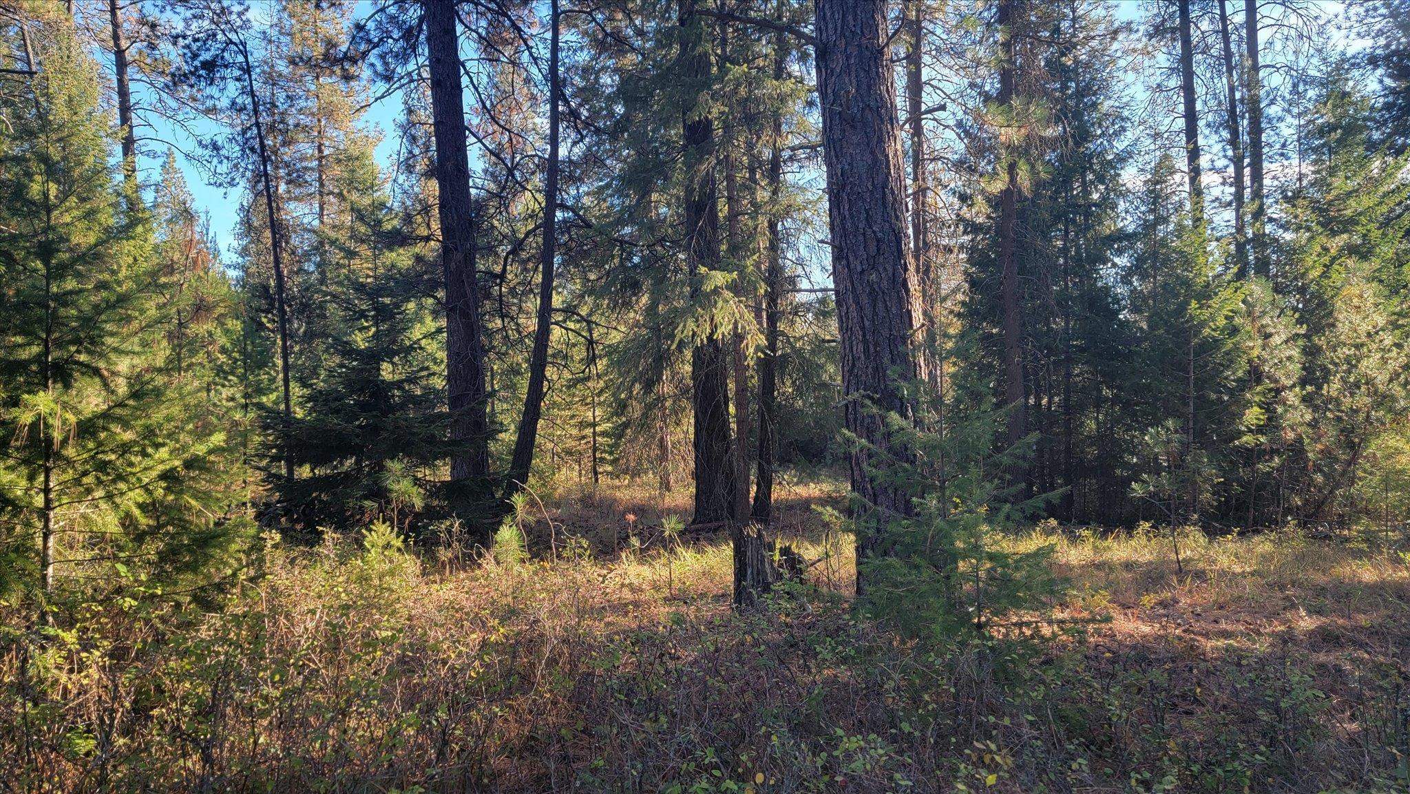 1XXX Spring Valley Rd - Photo 14