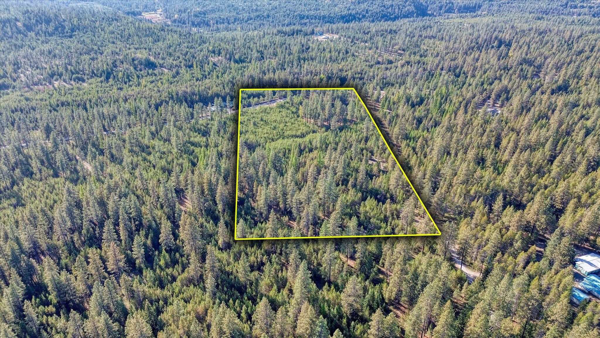 1XXX Spring Valley Rd - Photo 3