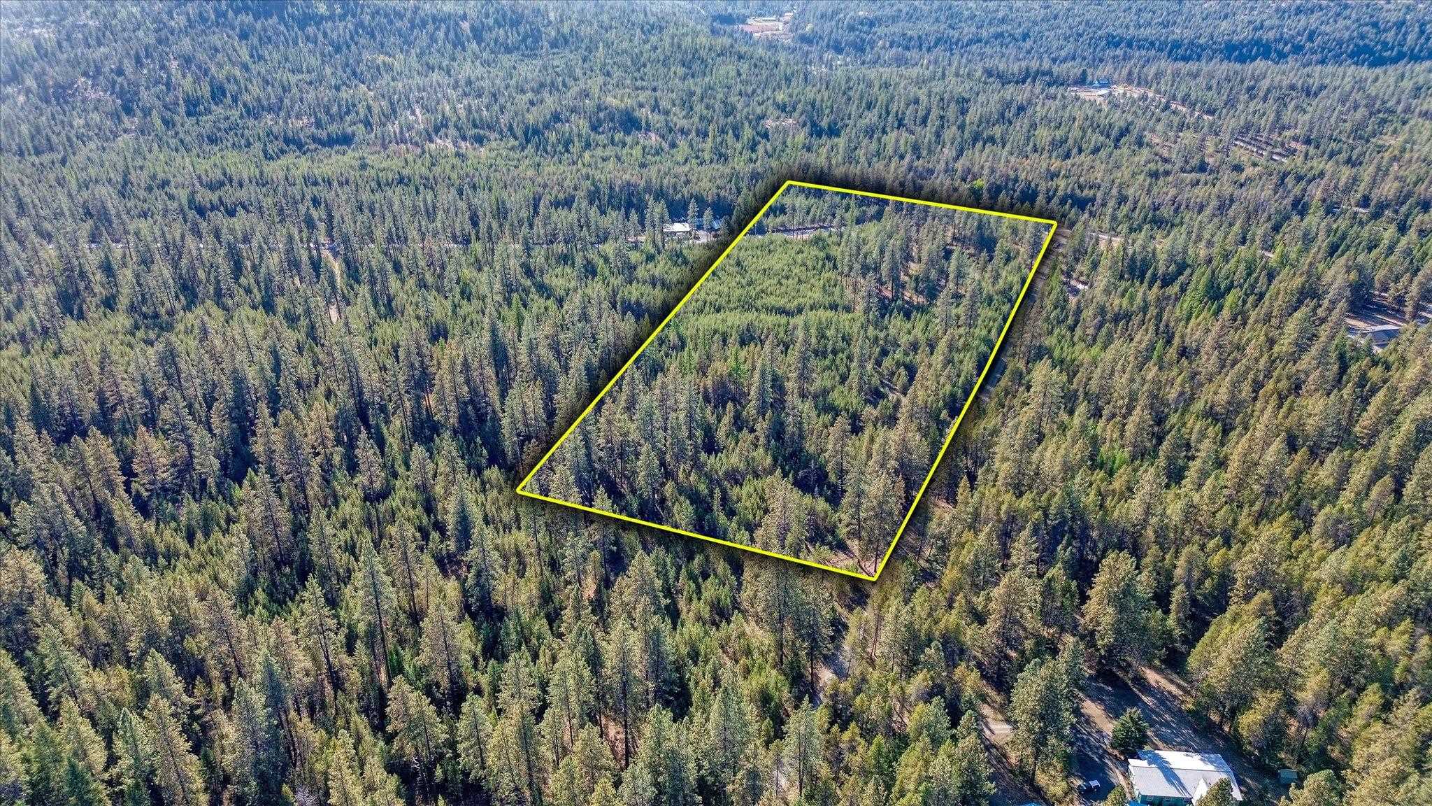 1XXX Spring Valley Rd - Photo 4
