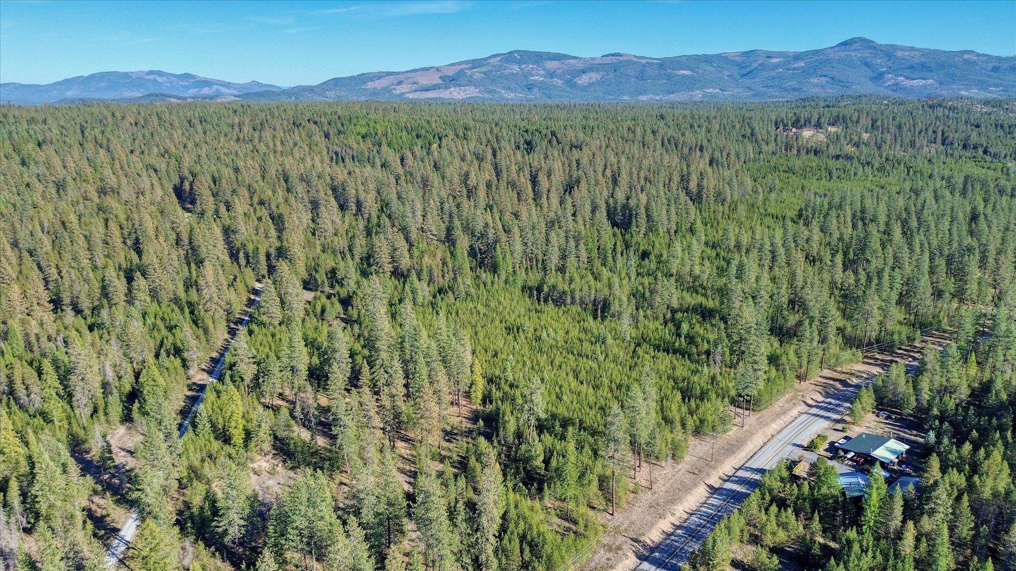 1XXX Spring Valley Rd - Photo 31