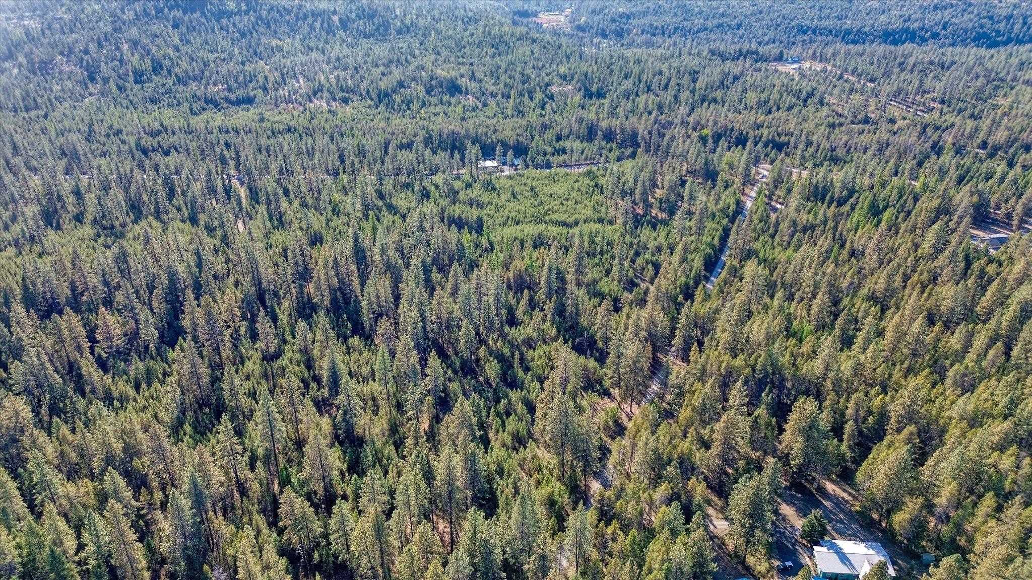 1XXX Spring Valley Rd - Photo 38