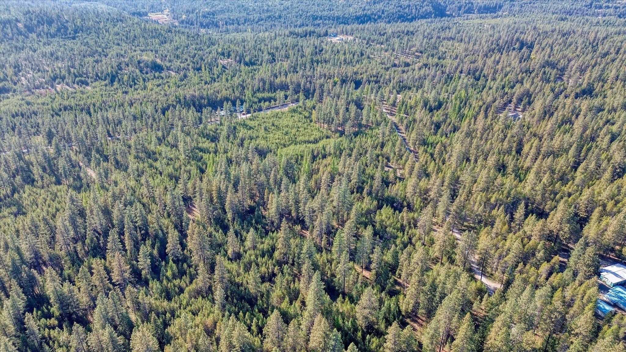 1XXX Spring Valley Rd - Photo 39
