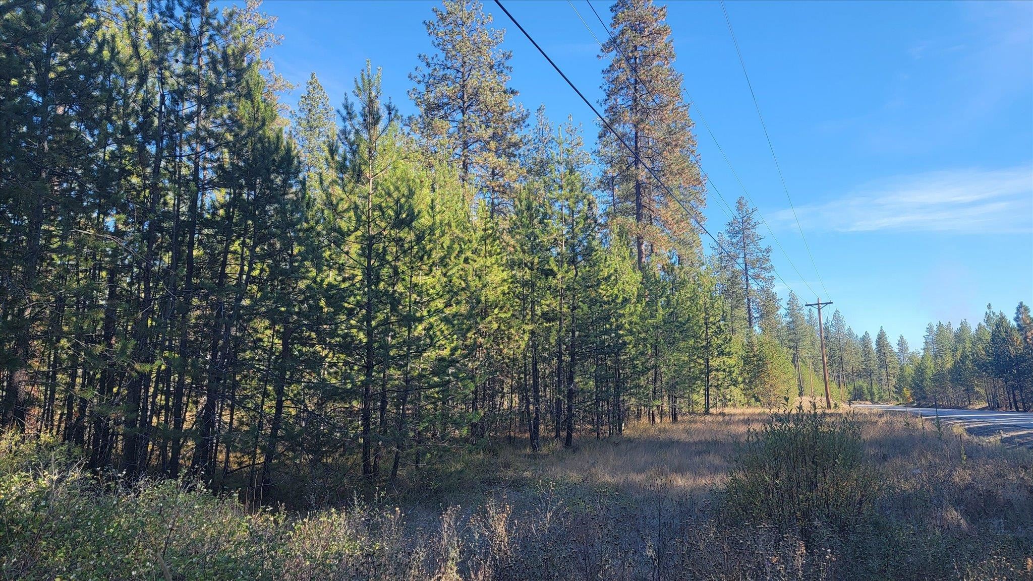 1XXX Spring Valley Rd - Photo 5