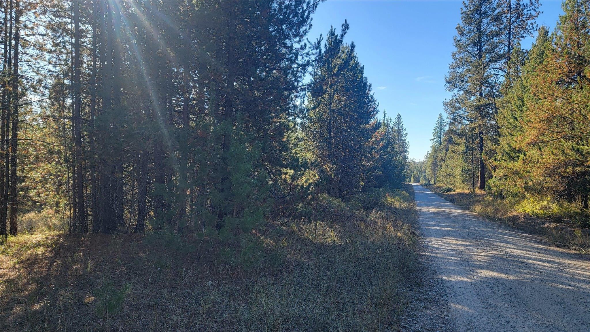 1XXX Spring Valley Rd - Photo 6