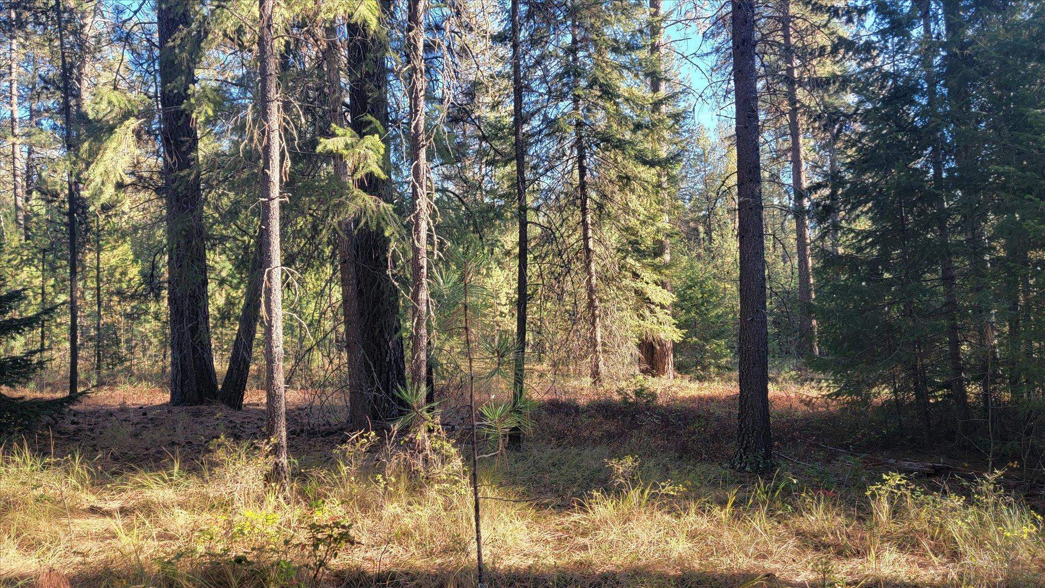 1XXX Spring Valley Rd - Photo 7