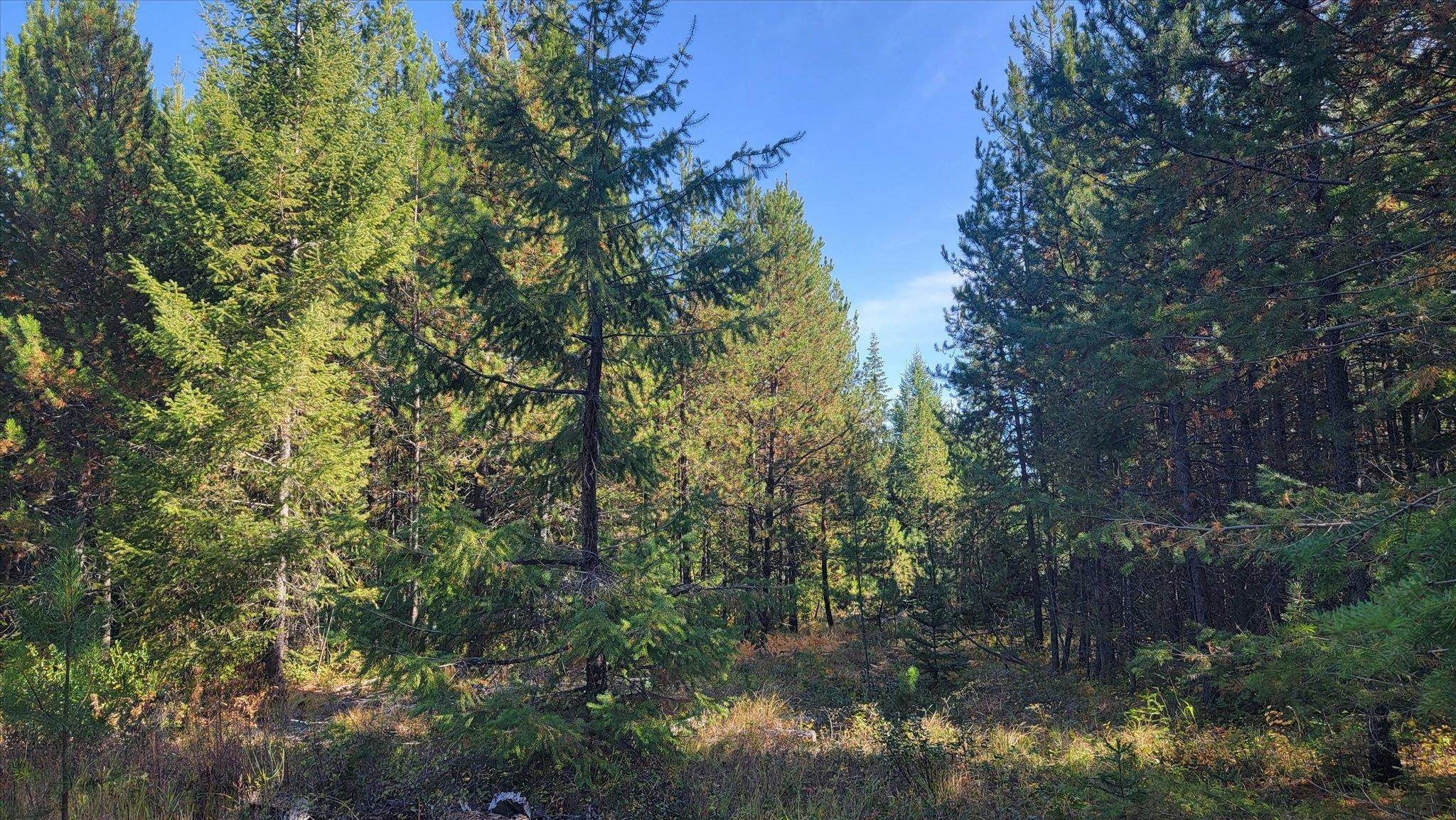 NKN Green Rd - Photo 11