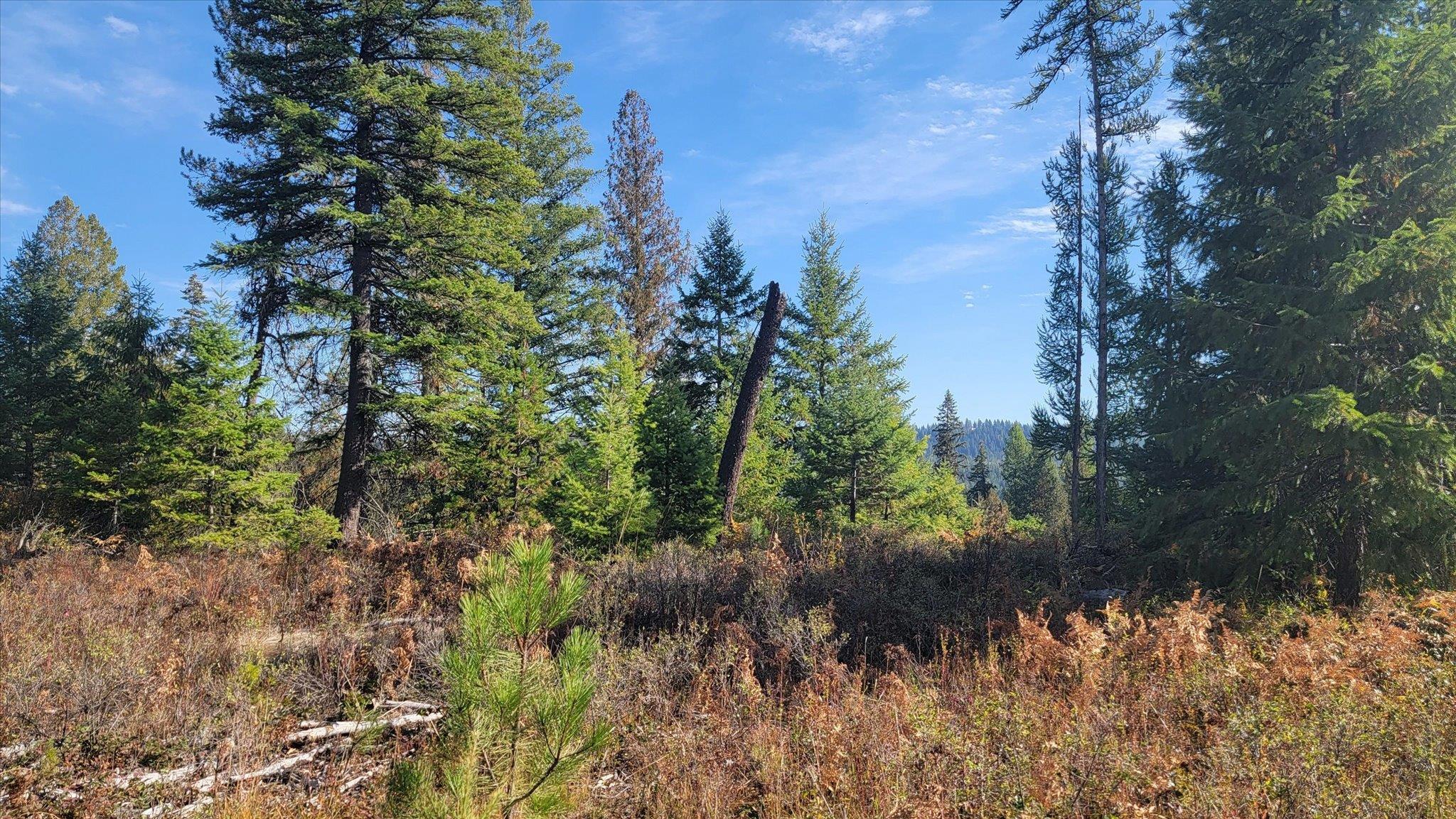 NKN Green Rd - Photo 12