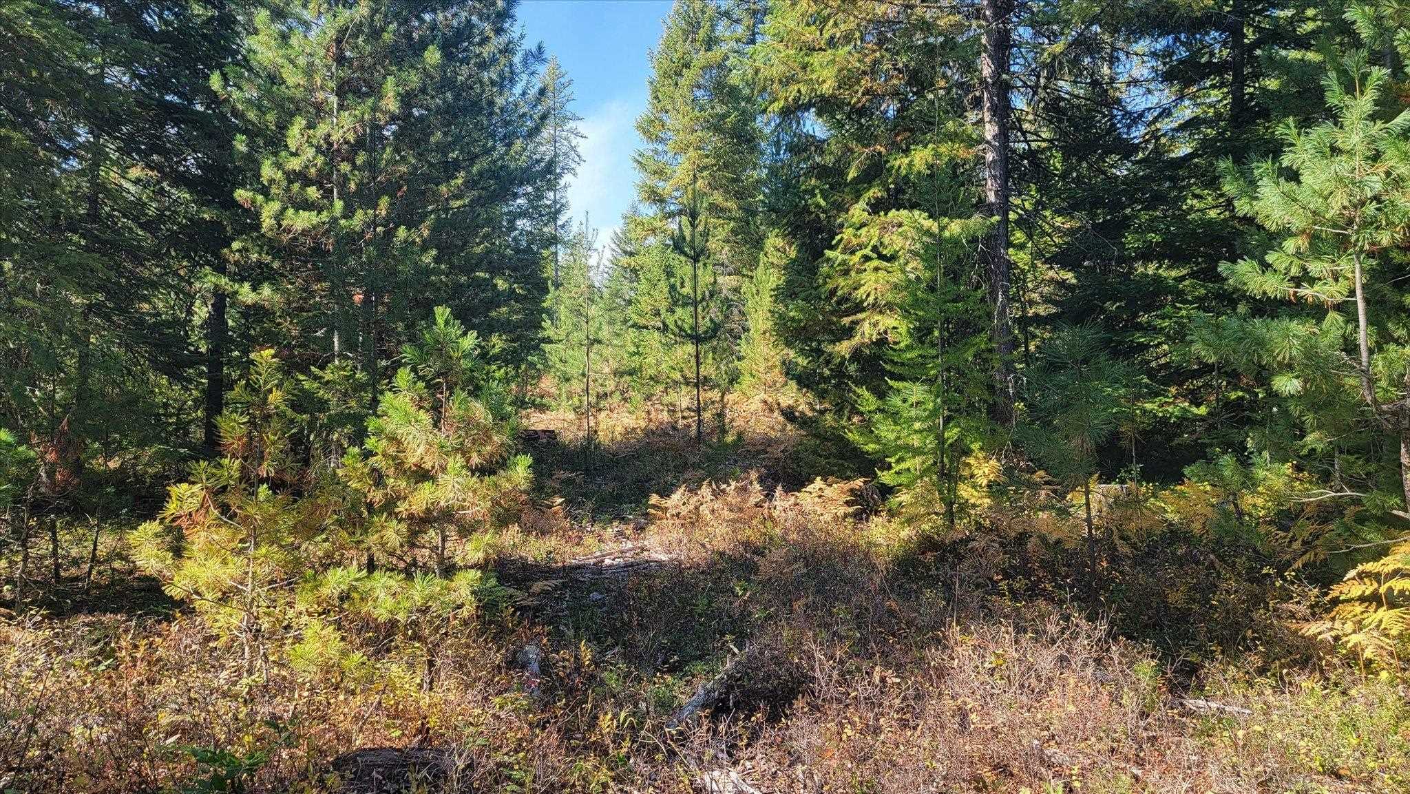 NKN Green Rd - Photo 14