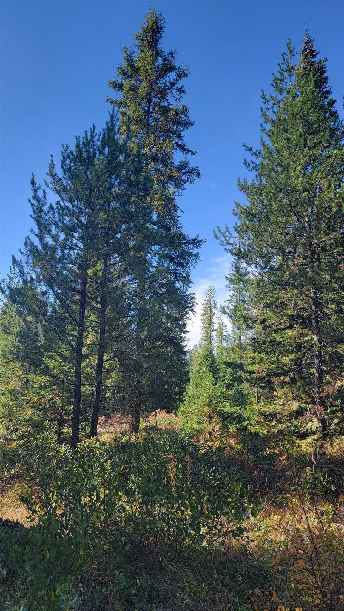 NKN Green Rd - Photo 15