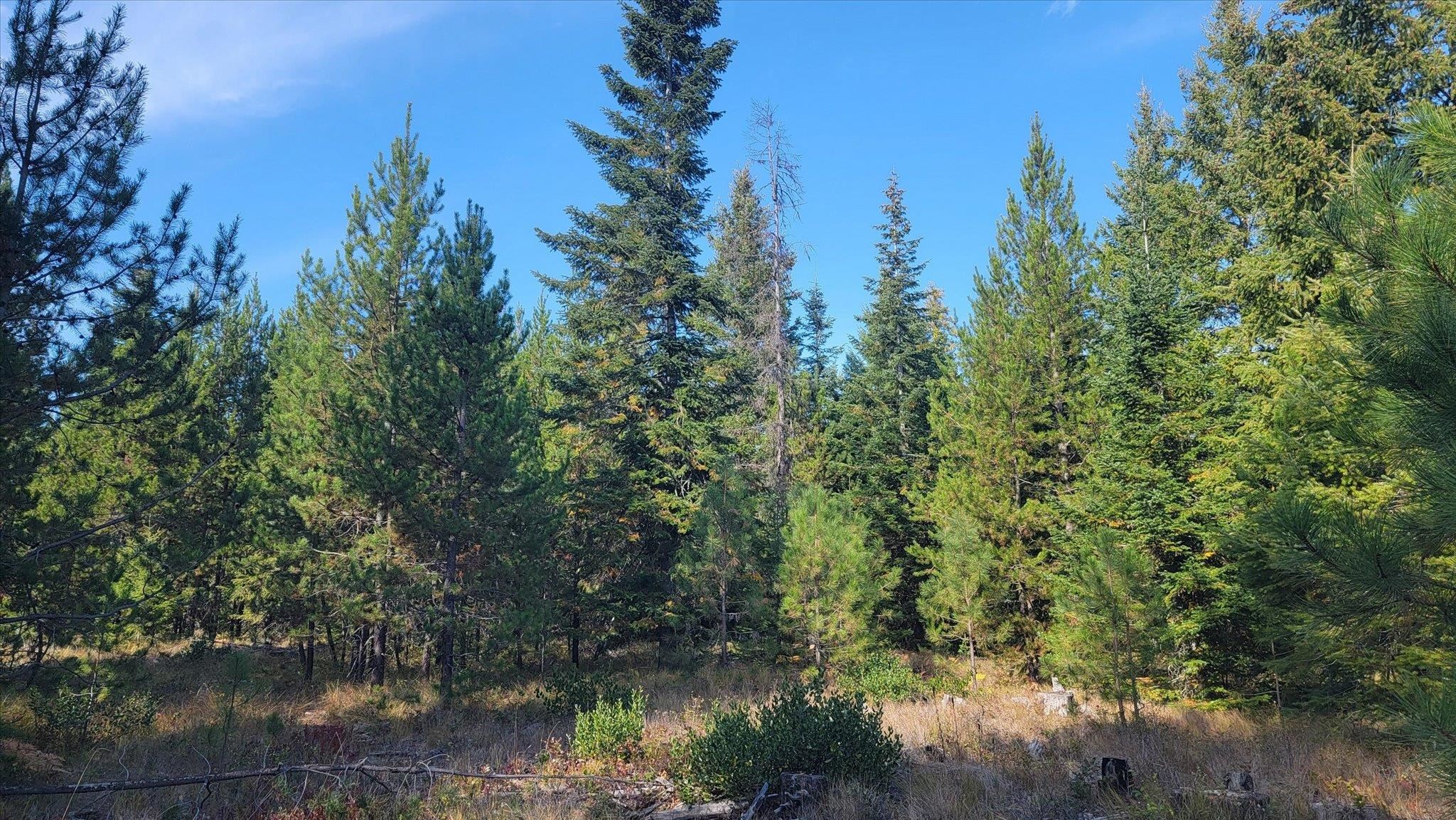 NKN Green Rd - Photo 16