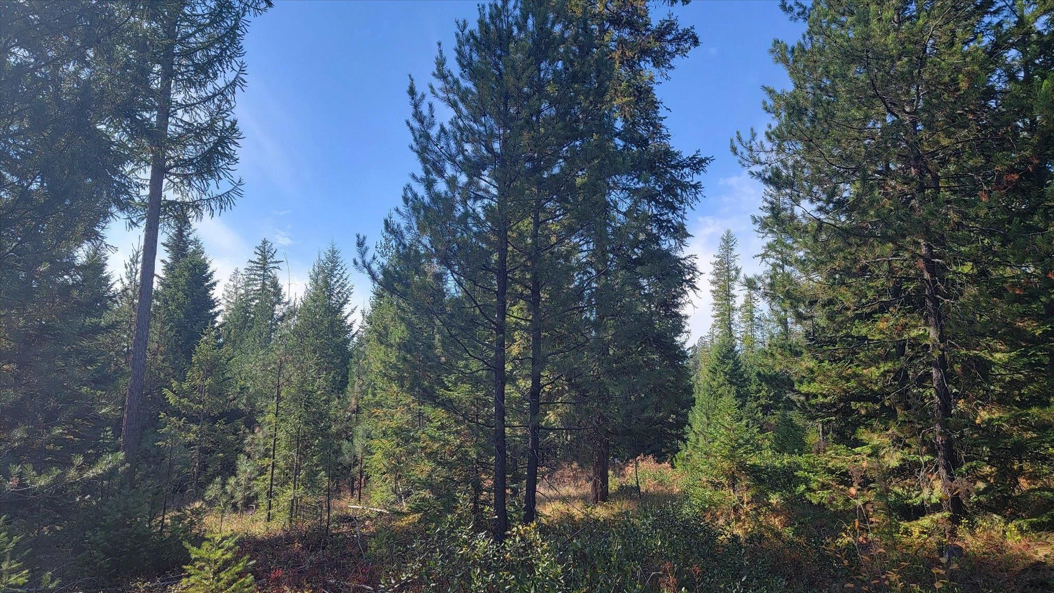 NKN Green Rd - Photo 26