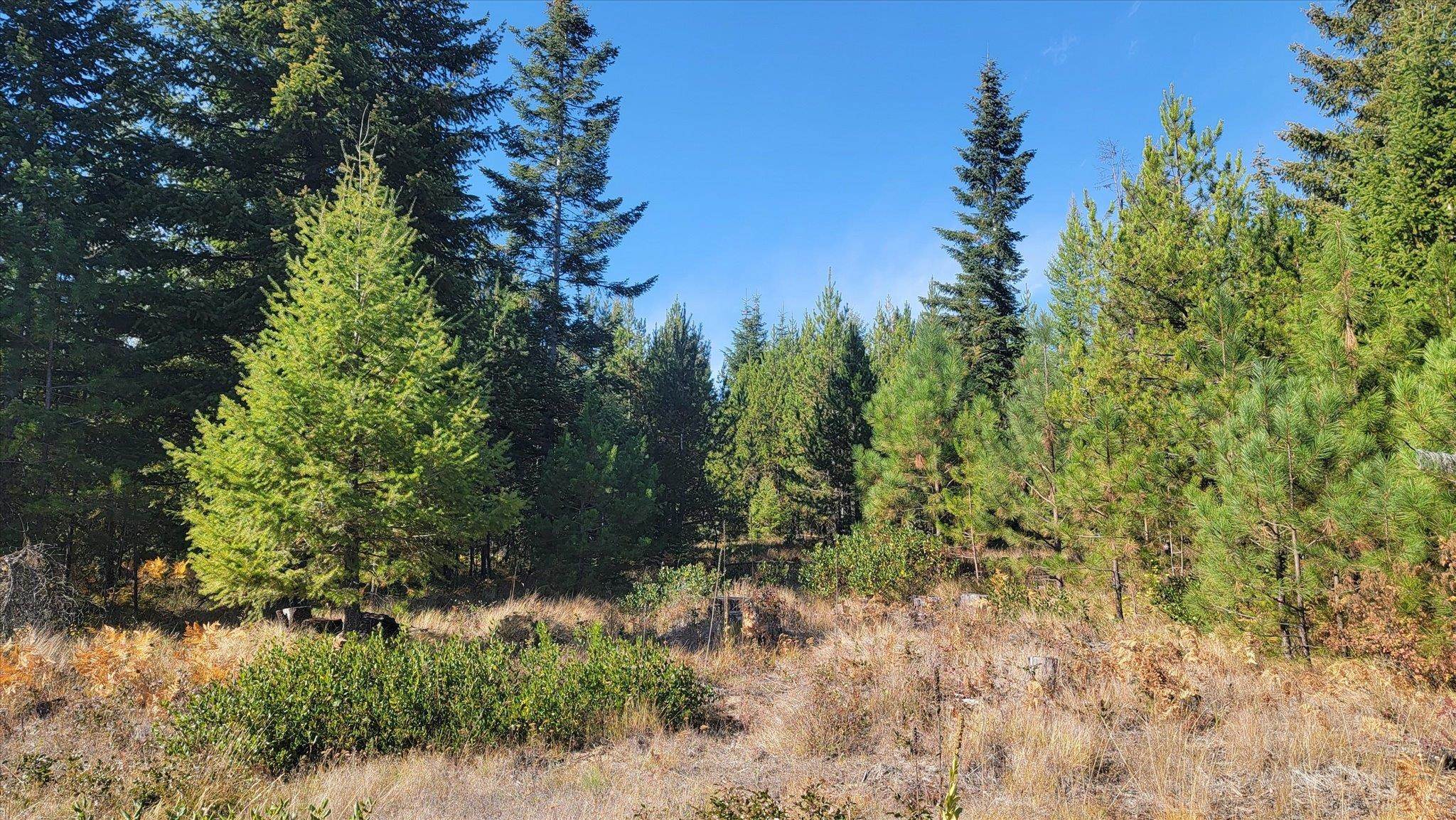NKN Green Rd - Photo 27