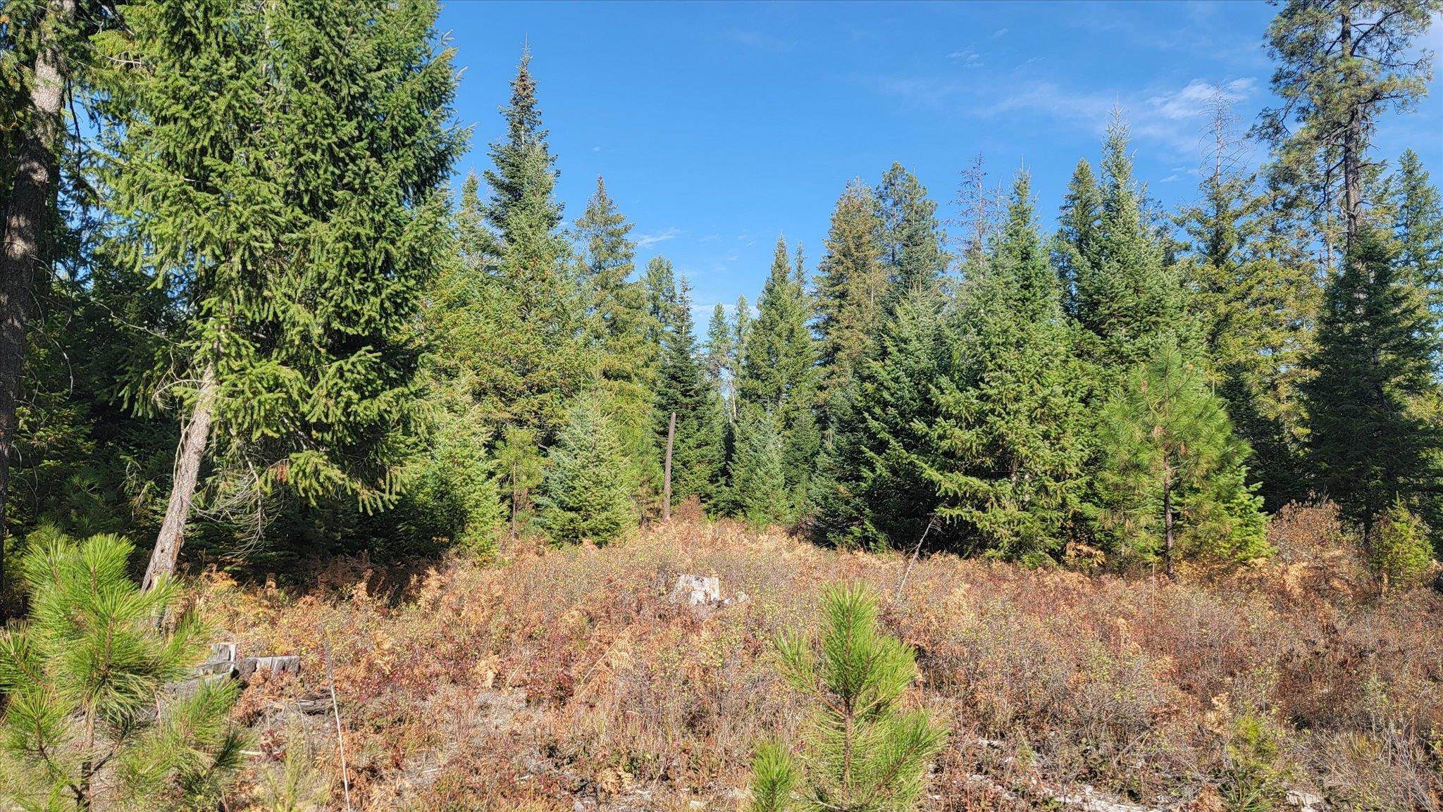 NKN Green Rd - Photo 28