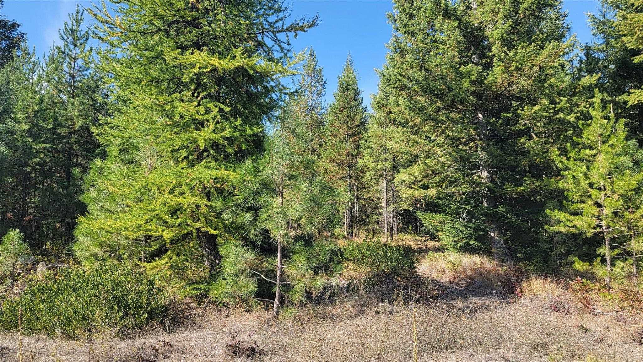 NKN Green Rd - Photo 29
