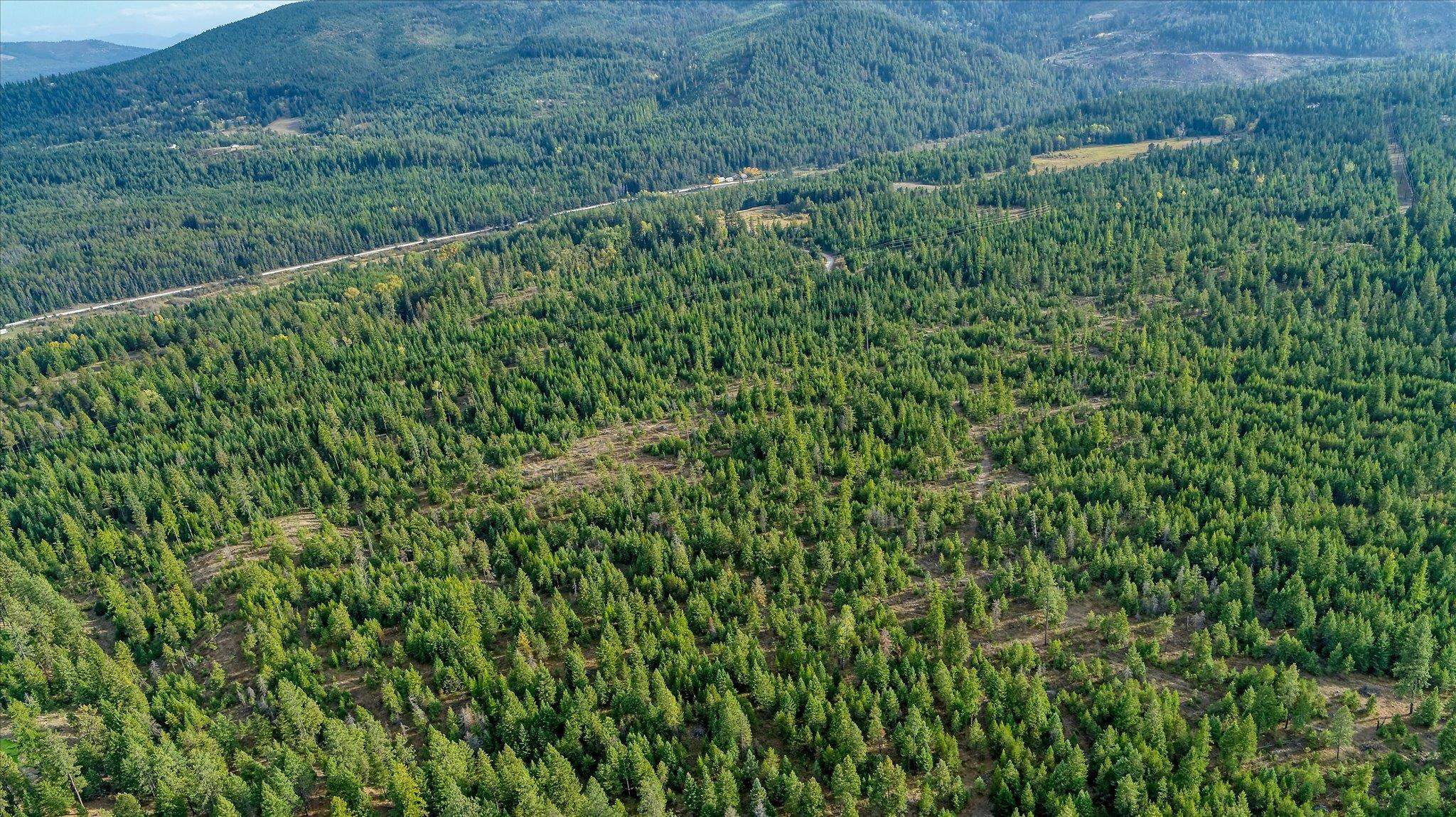 NKN Green Rd - Photo 33