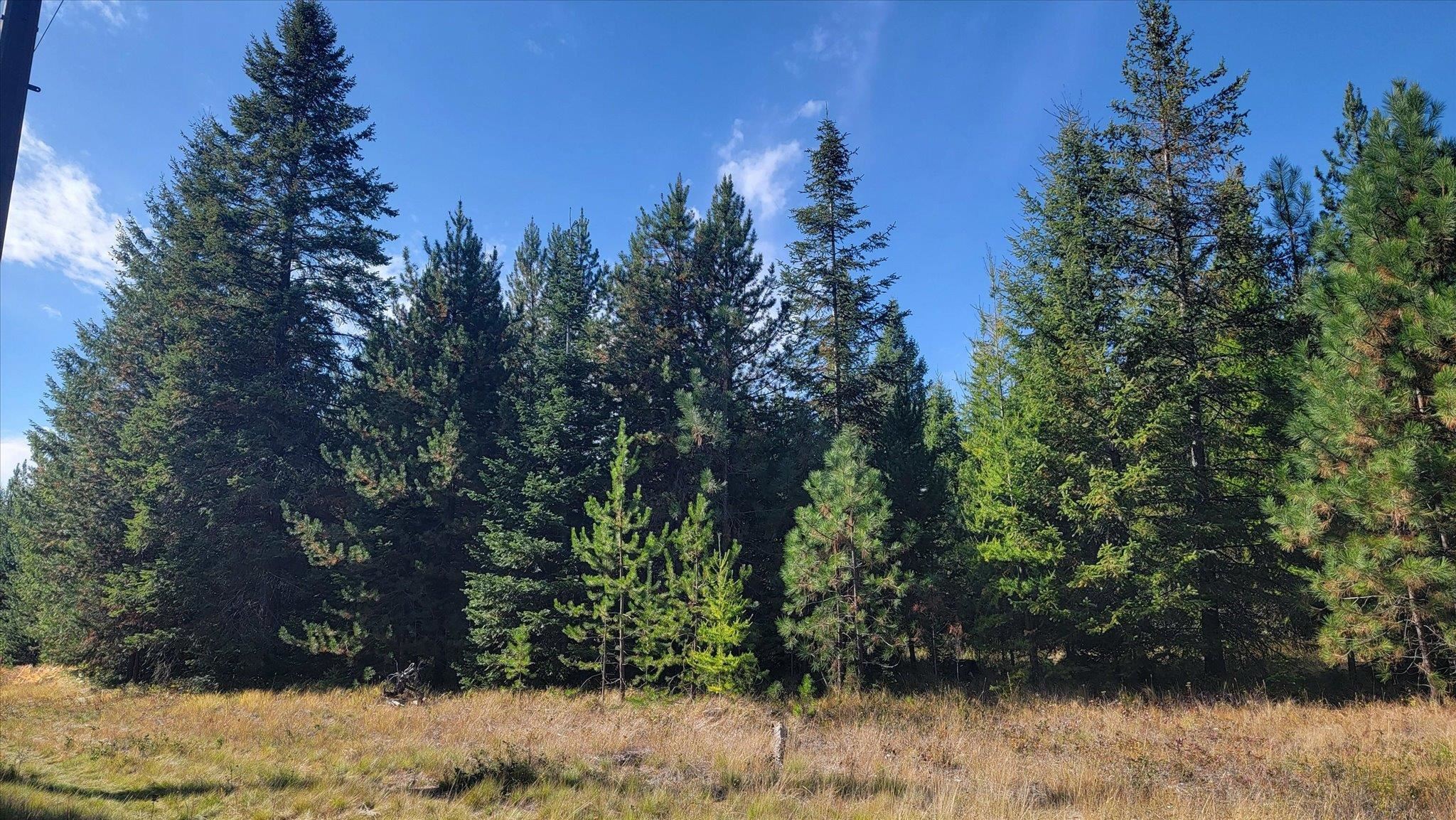 NKN Green Rd - Photo 39