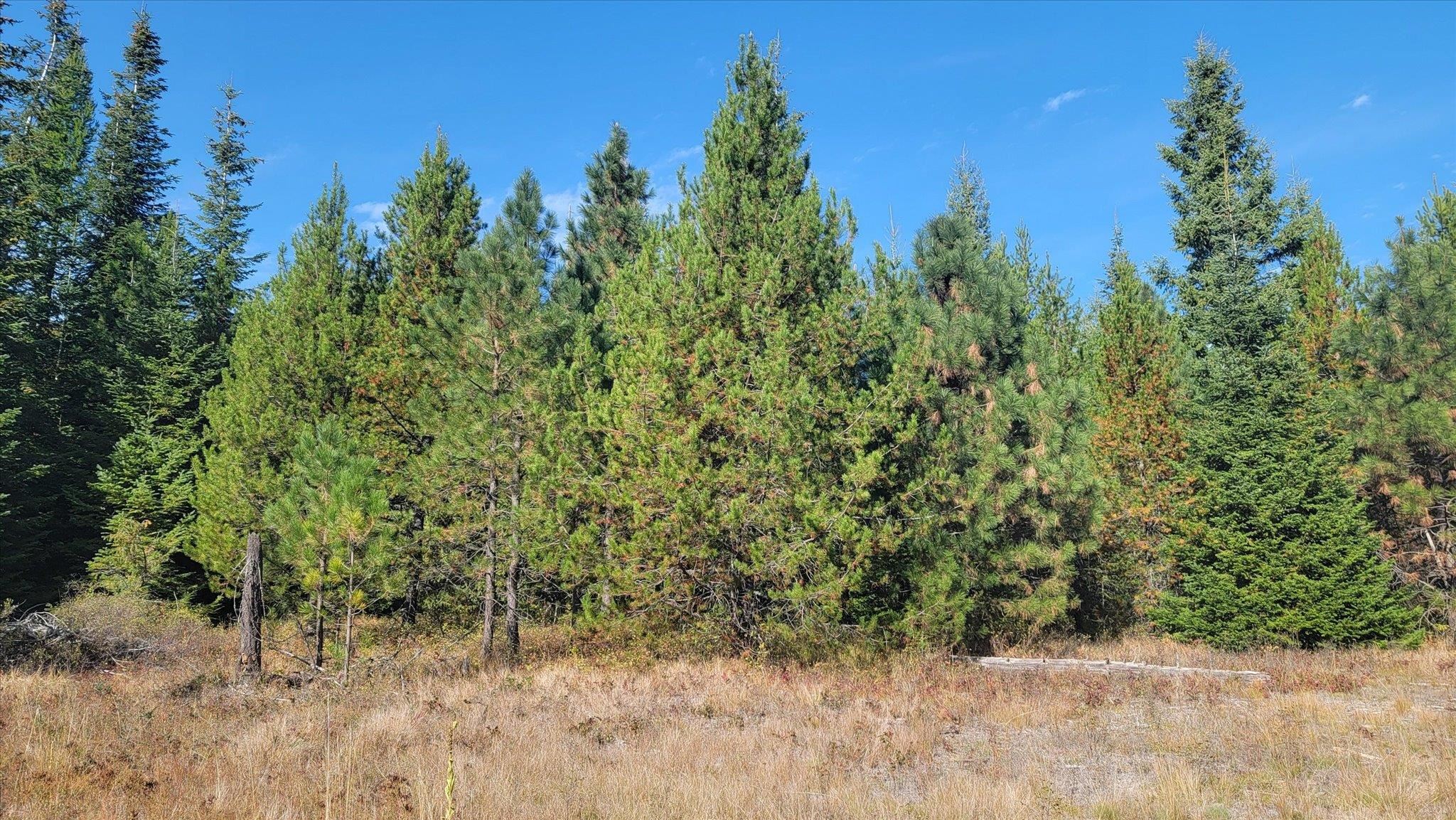 NKN Green Rd - Photo 41