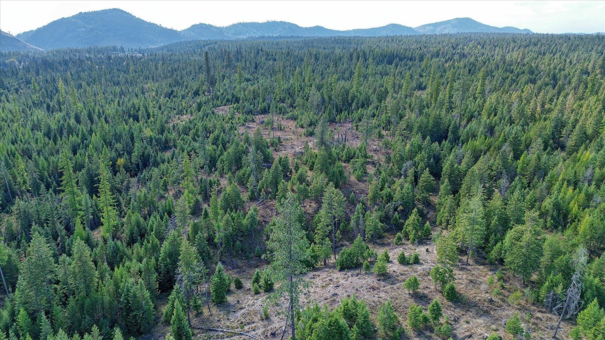 NKN Green Rd - Photo 46