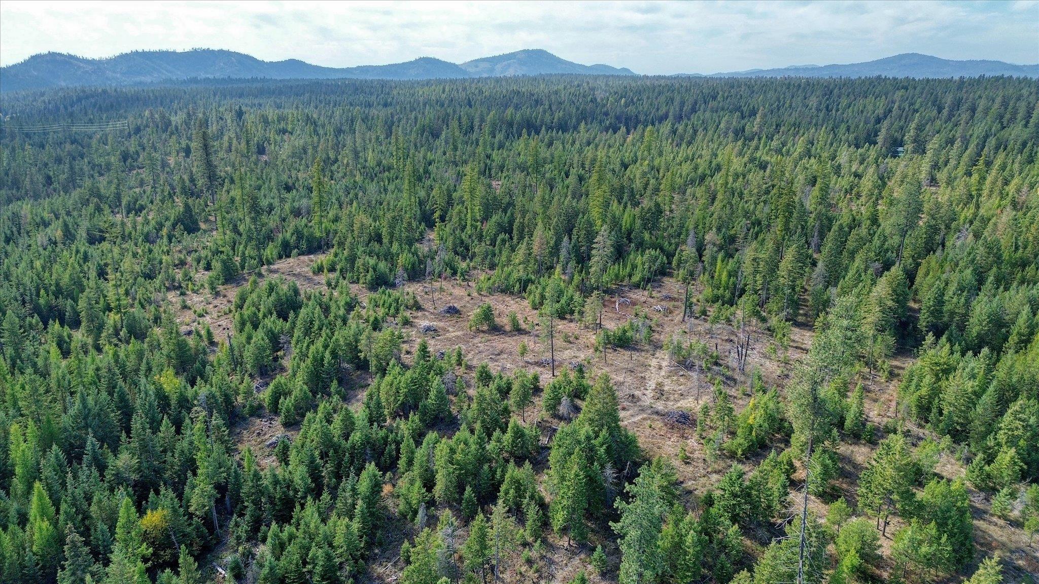 NKN Green Rd - Photo 48