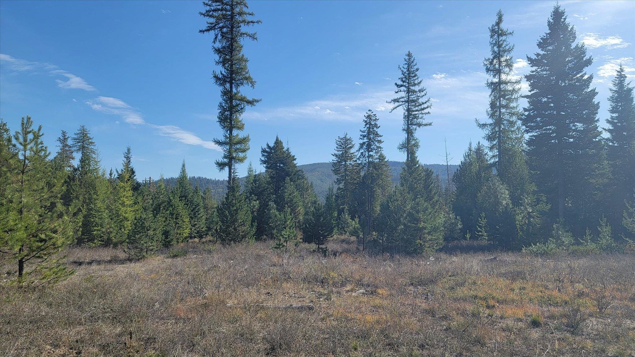 NKN Green Rd - Photo 9