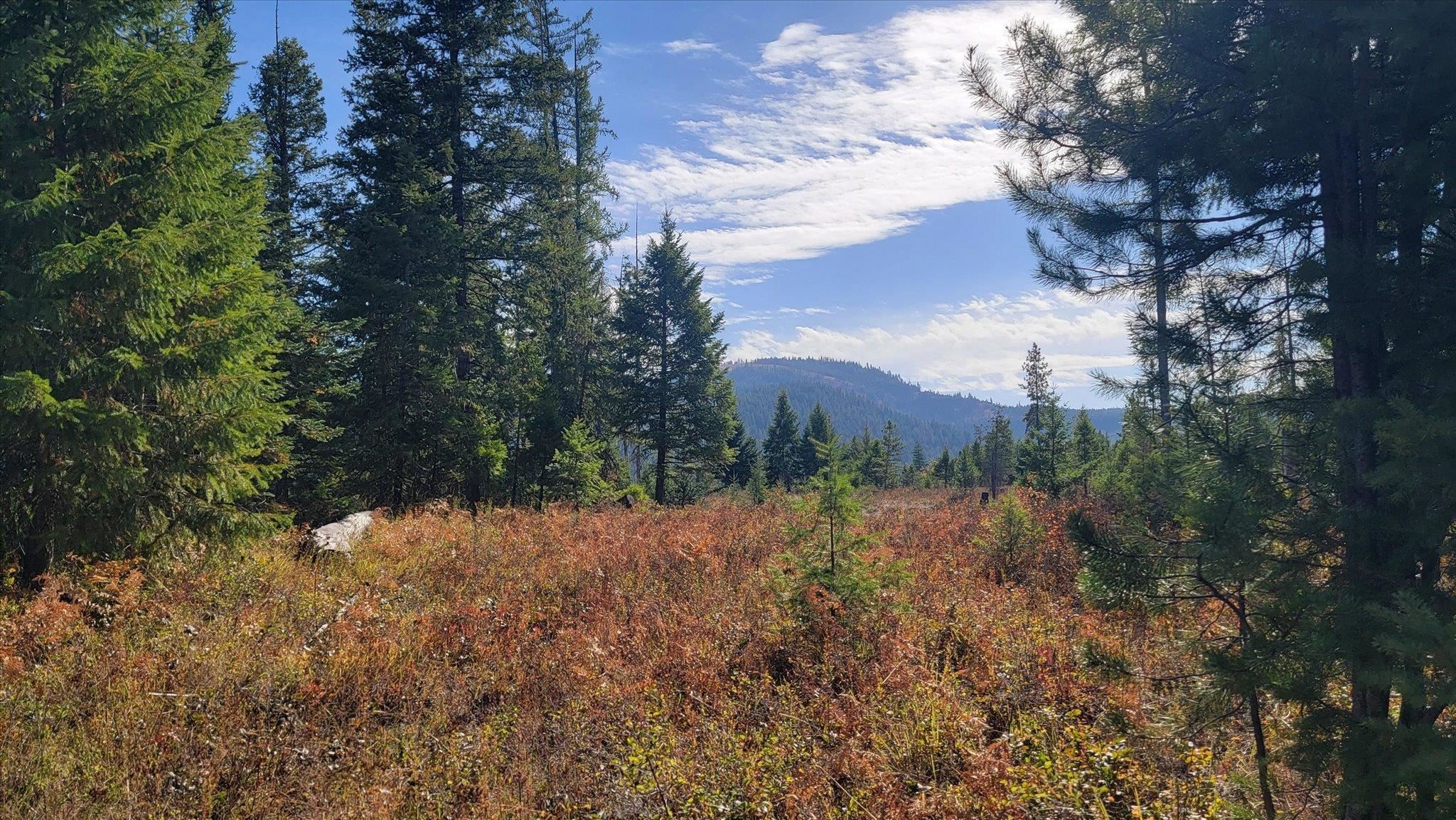 NKN Green Rd - Photo 10