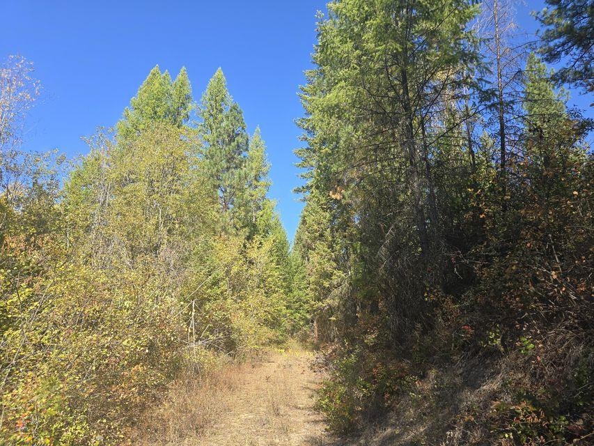 3XXX Sand Creek Rd - Photo 1