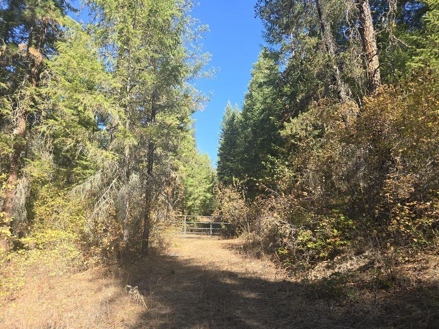 3XXX Sand Creek Rd - Photo 2