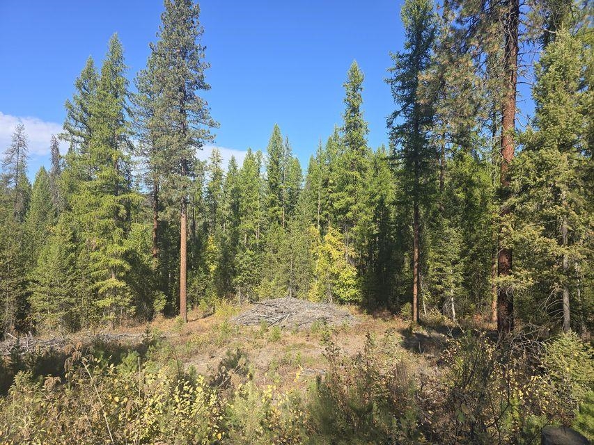 3XXX Sand Creek Rd - Photo 11