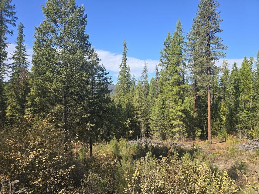 3XXX Sand Creek Rd - Photo 12