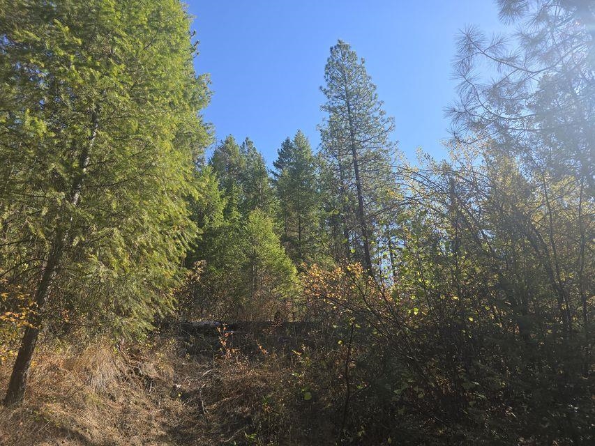 3XXX Sand Creek Rd - Photo 3