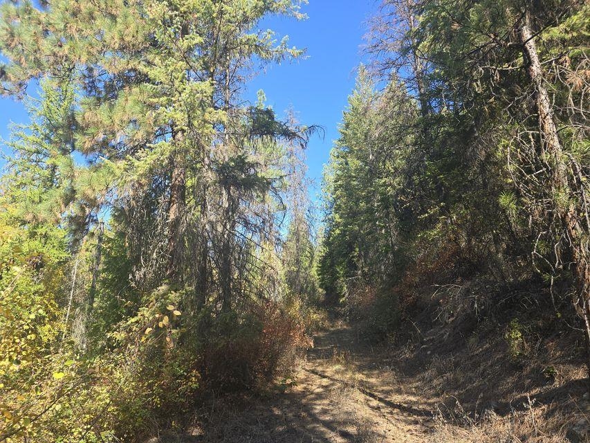 3XXX Sand Creek Rd - Photo 4