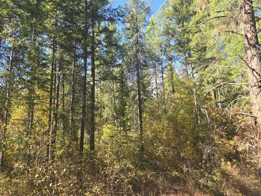 3XXX Sand Creek Rd - Photo 5