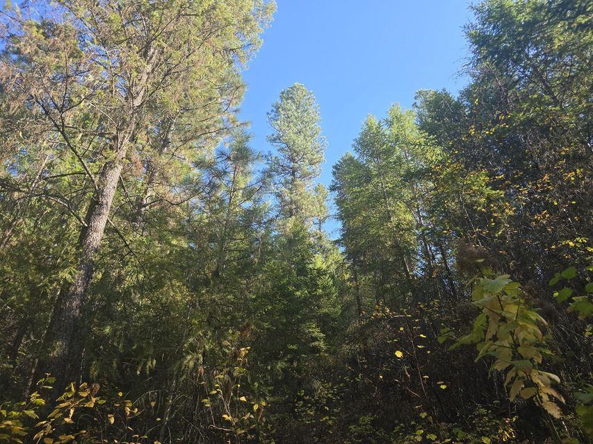 3XXX Sand Creek Rd - Photo 6