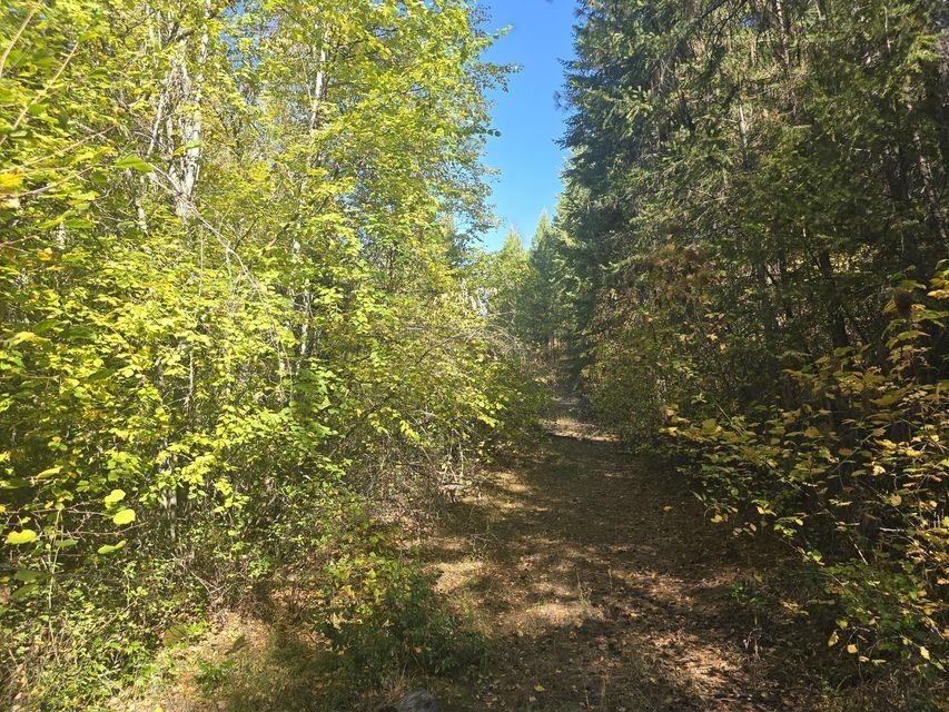 3XXX Sand Creek Rd - Photo 7