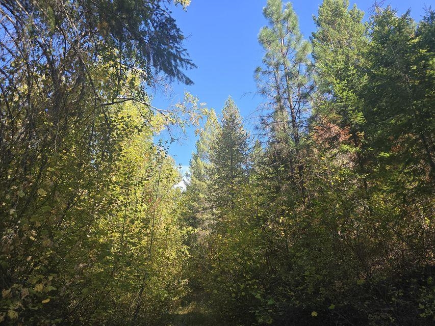 3XXX Sand Creek Rd - Photo 8