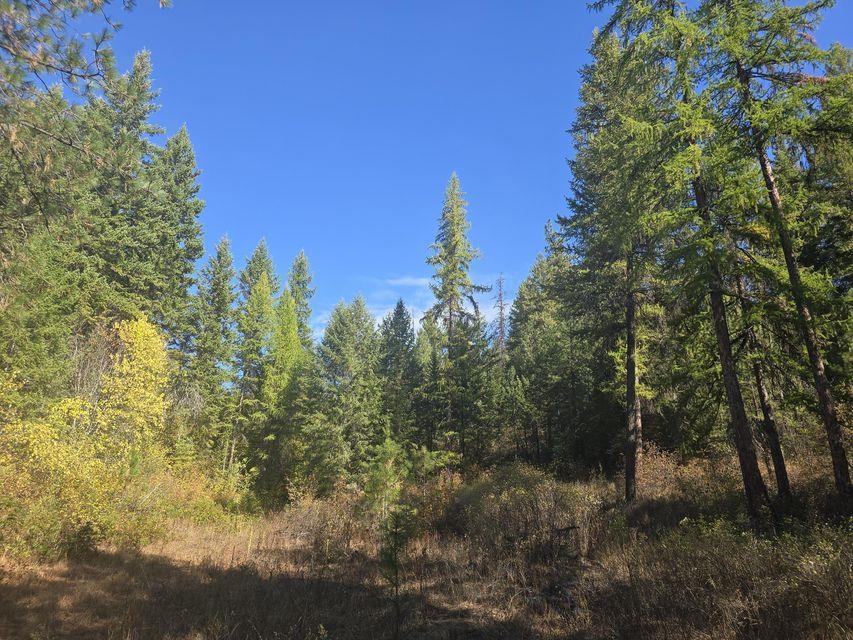 3XXX Sand Creek Rd - Photo 9