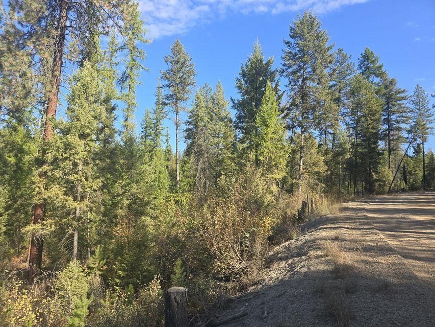 3XXX Sand Creek Rd - Photo 10