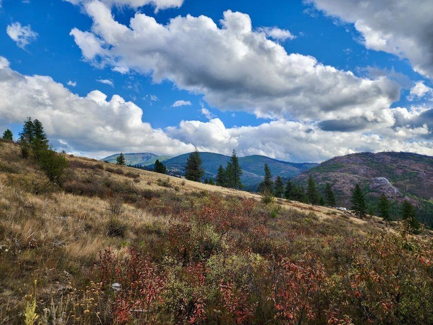 140 Lambert Mountain Rd - Photo 2