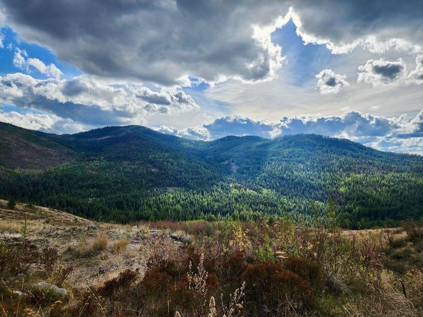 140 Lambert Mountain Rd - Photo 3