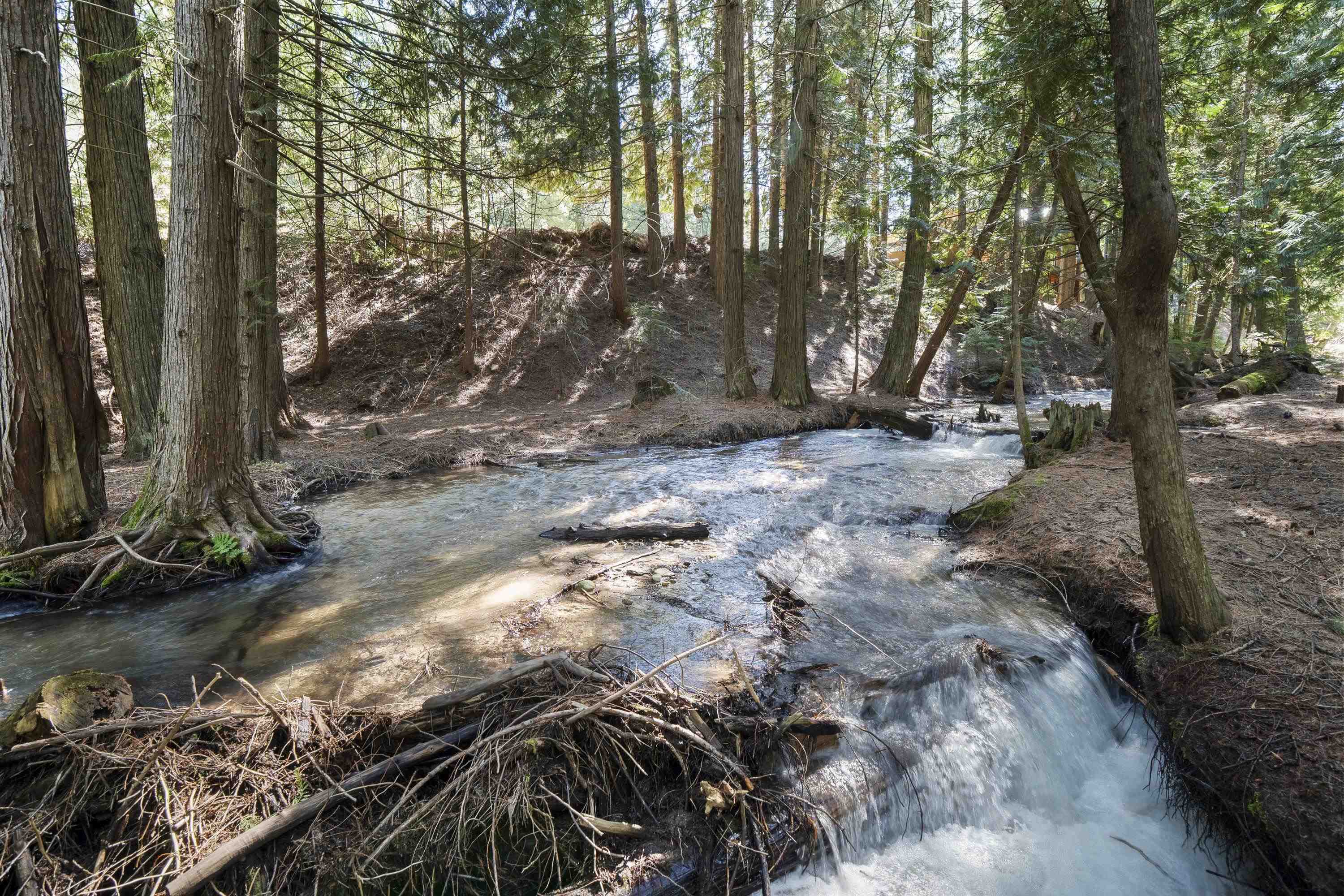 341xx N Blanchard Creek Rd - Photo 1