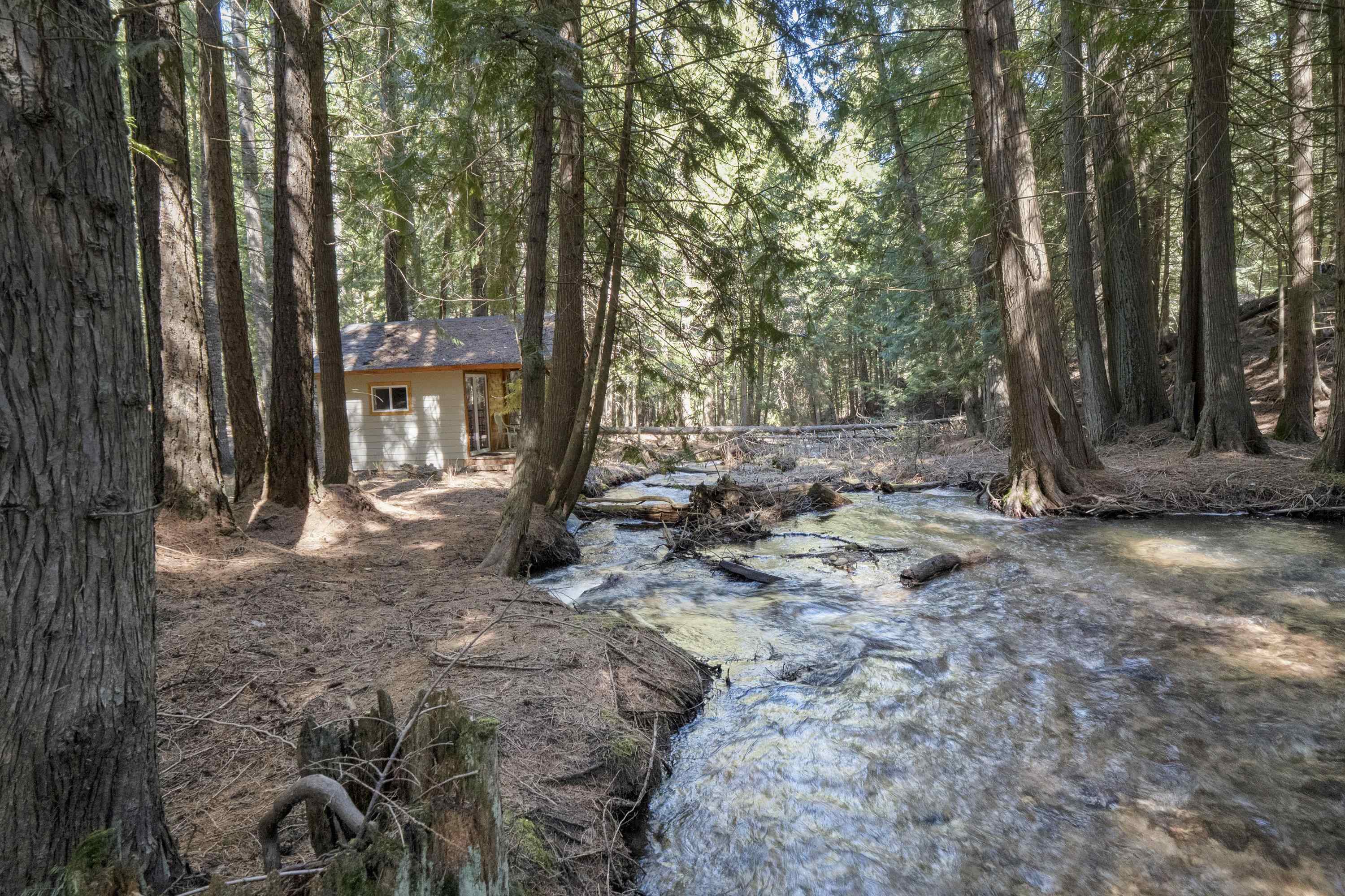 341xx N Blanchard Creek Rd - Photo 2