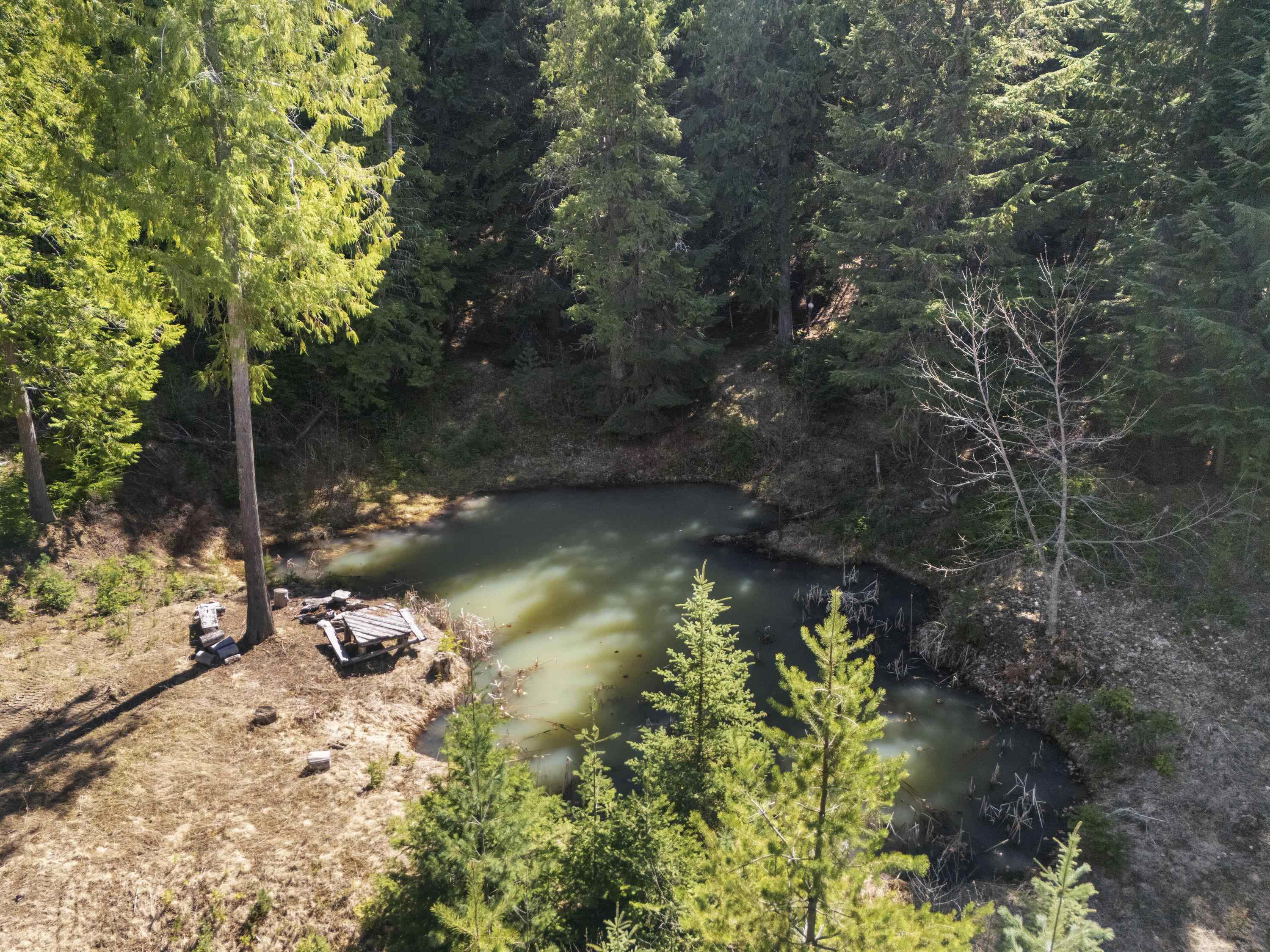 341xx N Blanchard Creek Rd - Photo 11